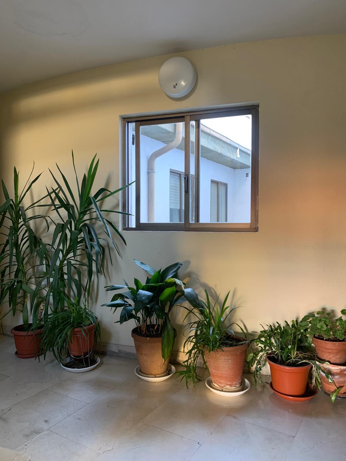 For sale of flat in San Lorenzo de El Escorial