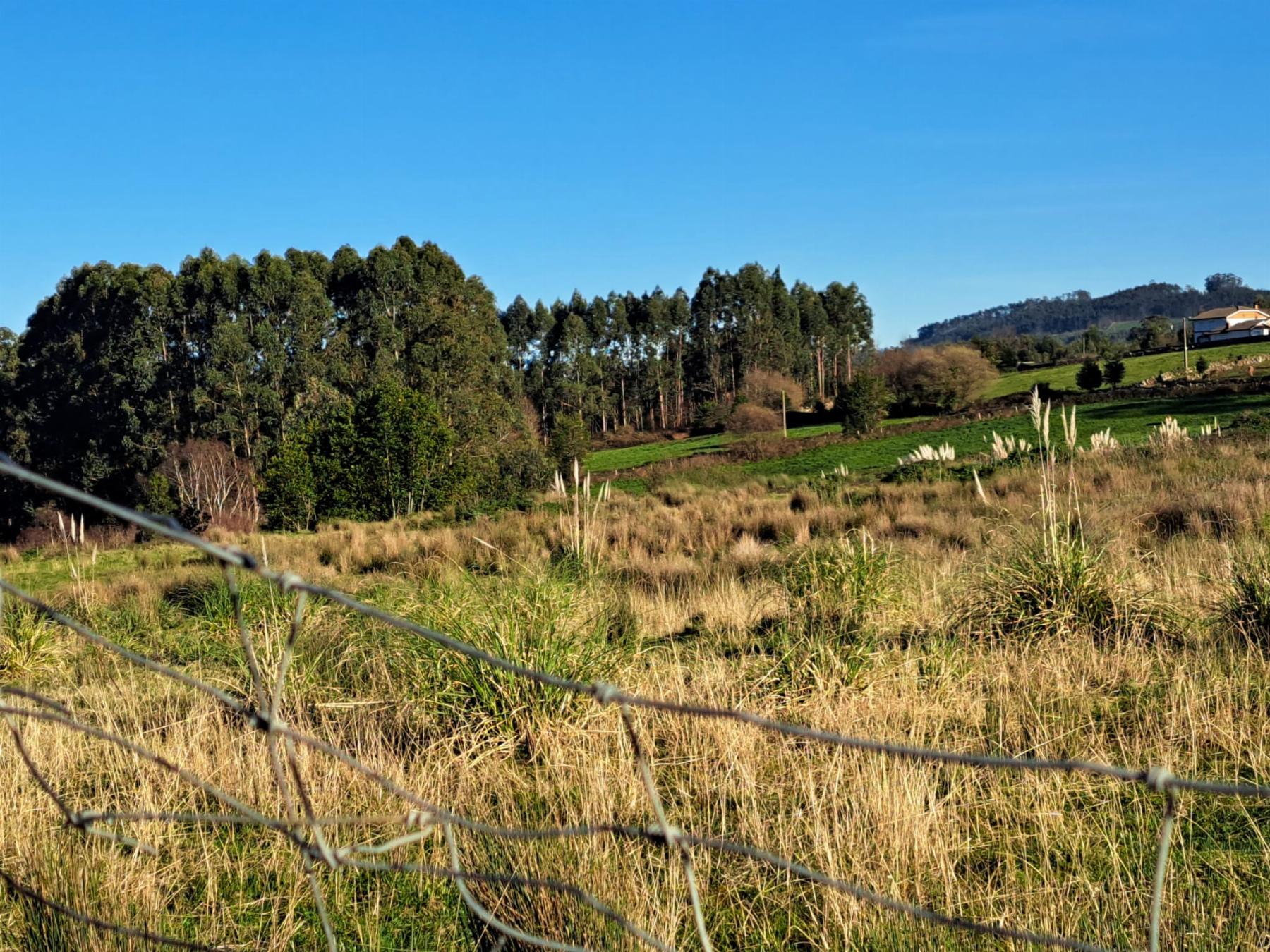 For sale of land in Villaviciosa