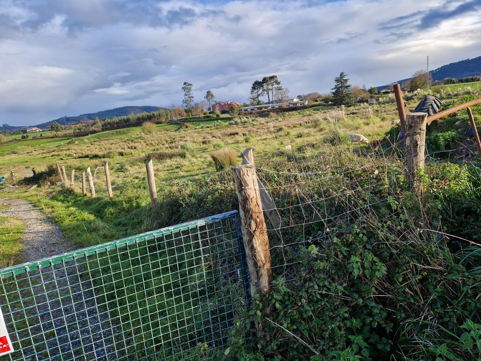 For sale of land in Villaviciosa