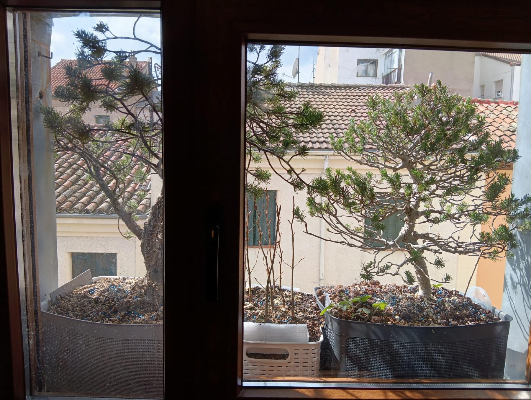 Venta de piso en San Lorenzo de El Escorial