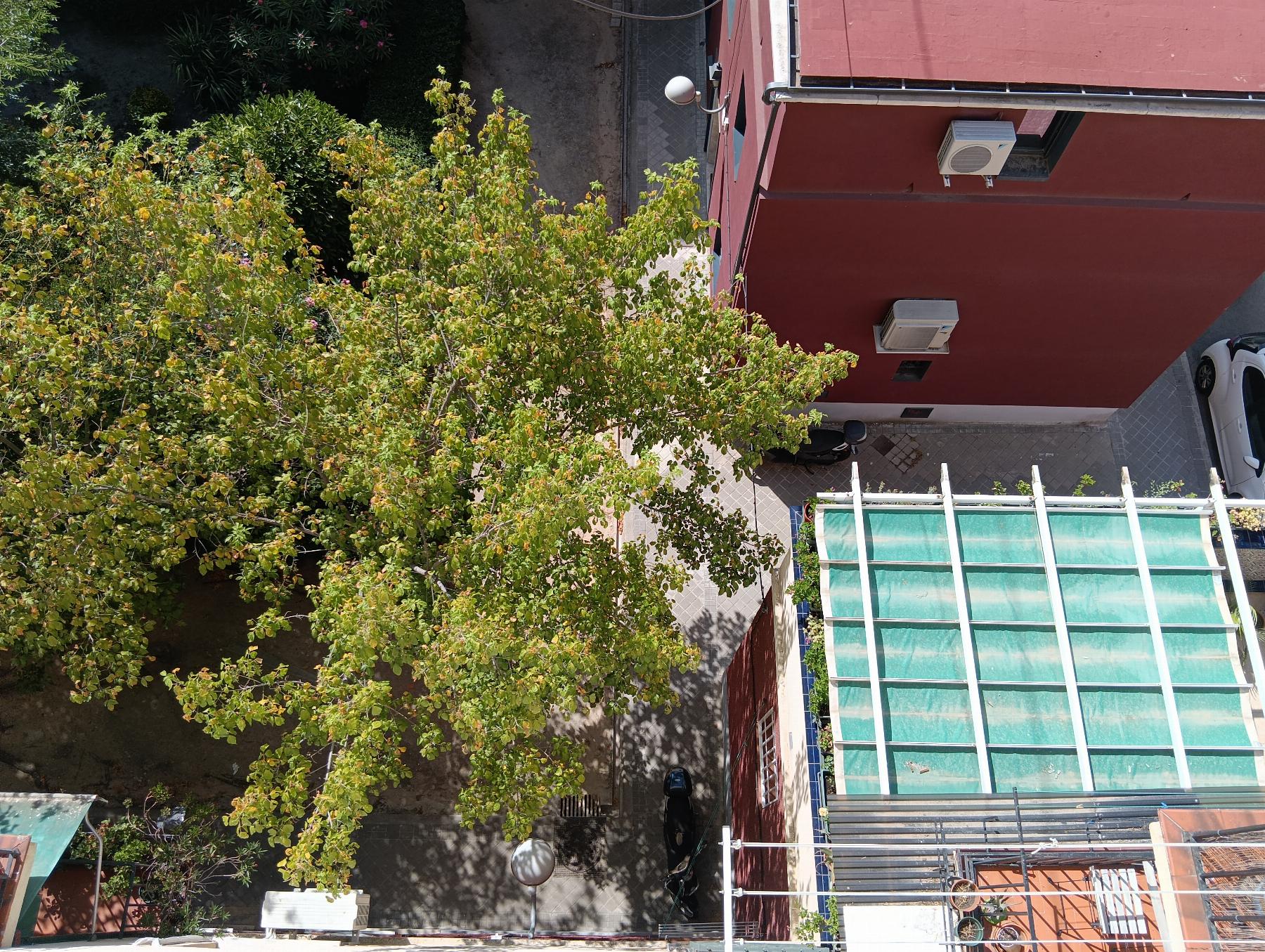 For sale of flat in Madrid