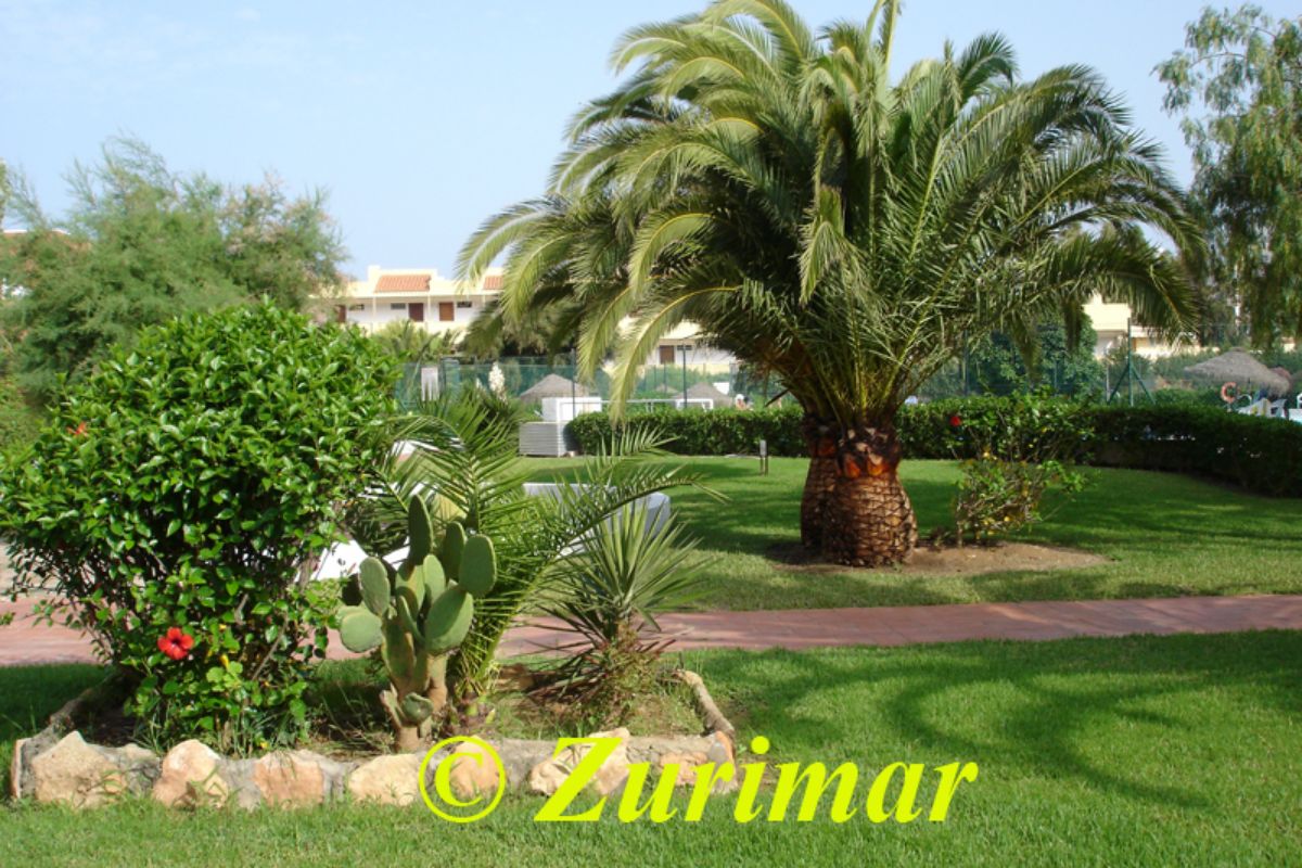 For rent of apartment in Roquetas de Mar