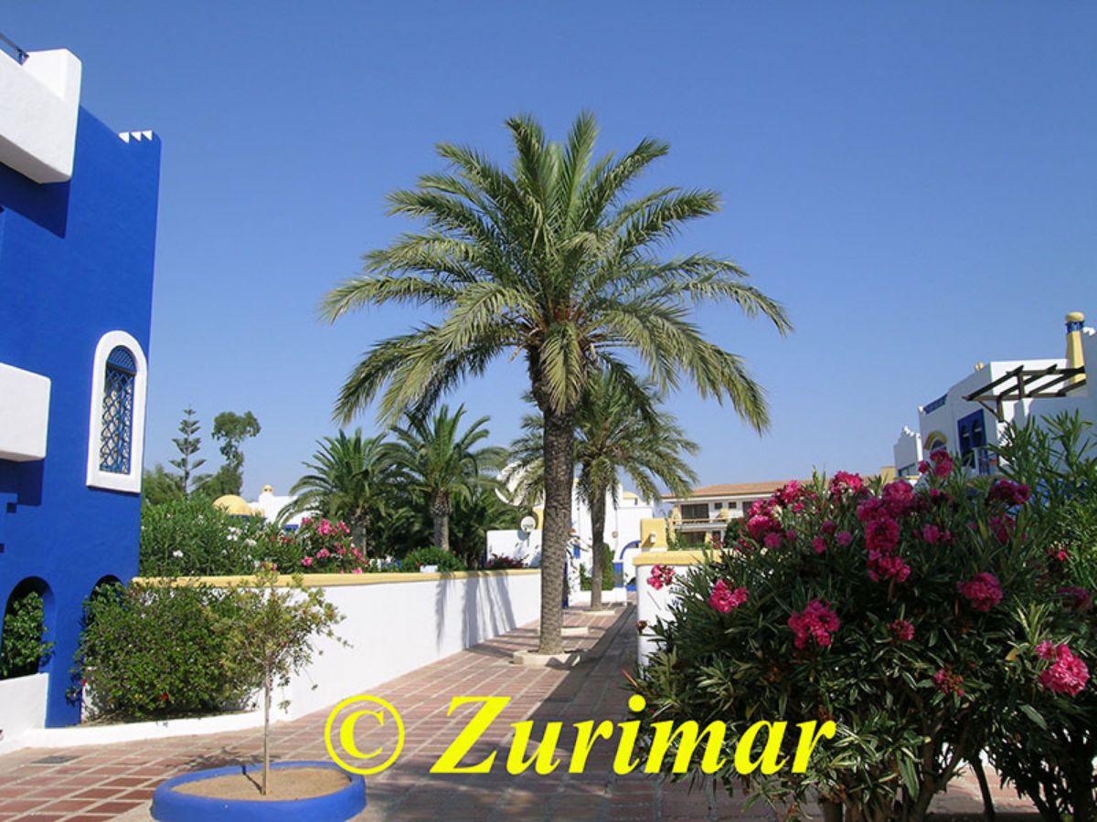 For rent of apartment in Roquetas de Mar