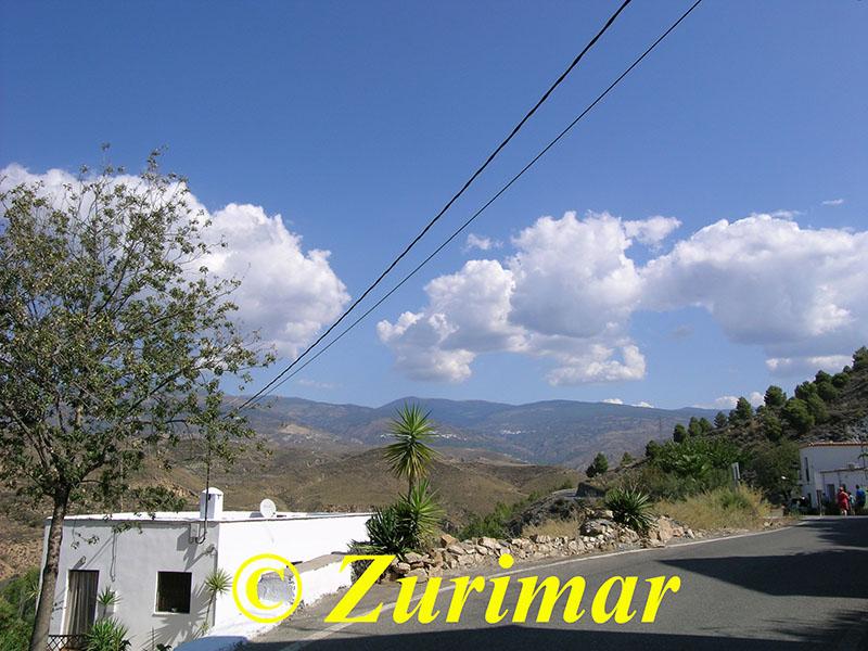 For share of house in Alcolea