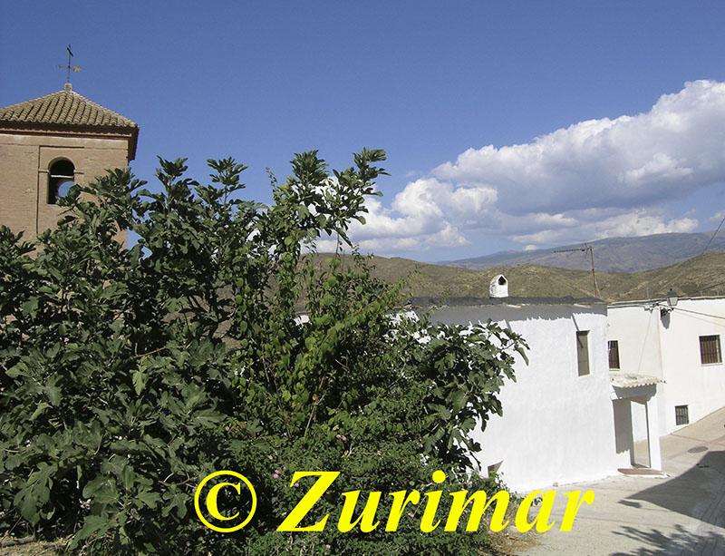 For share of house in Alcolea