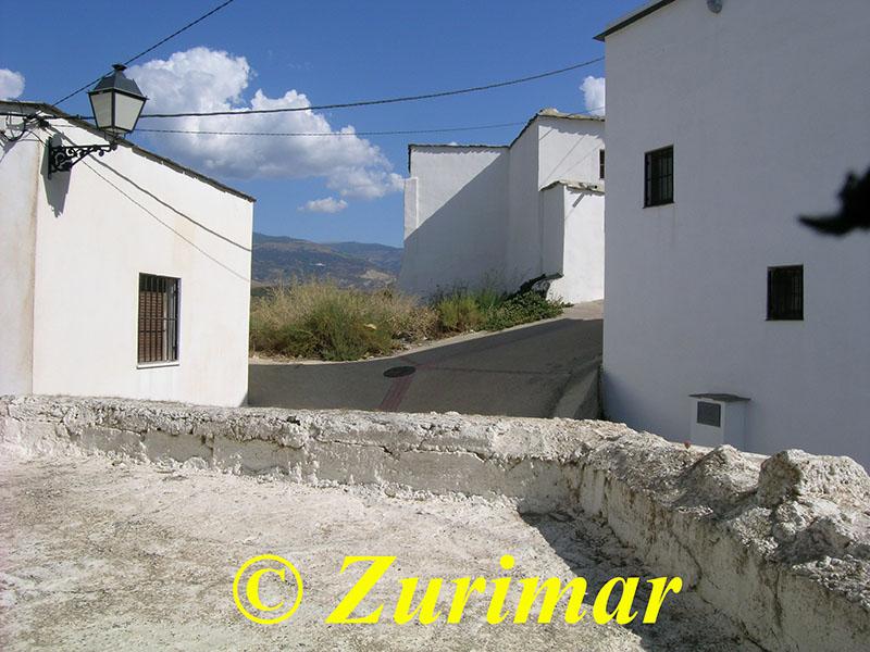 For share of house in Alcolea