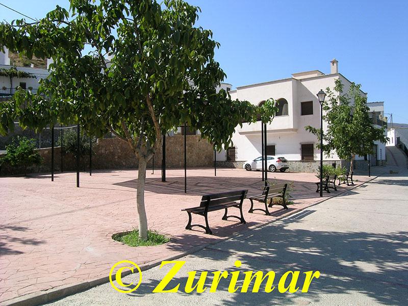 For share of house in Alcolea