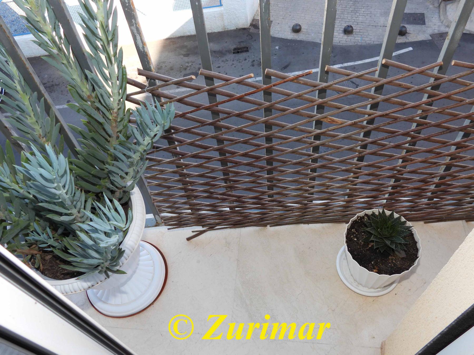 Balcon