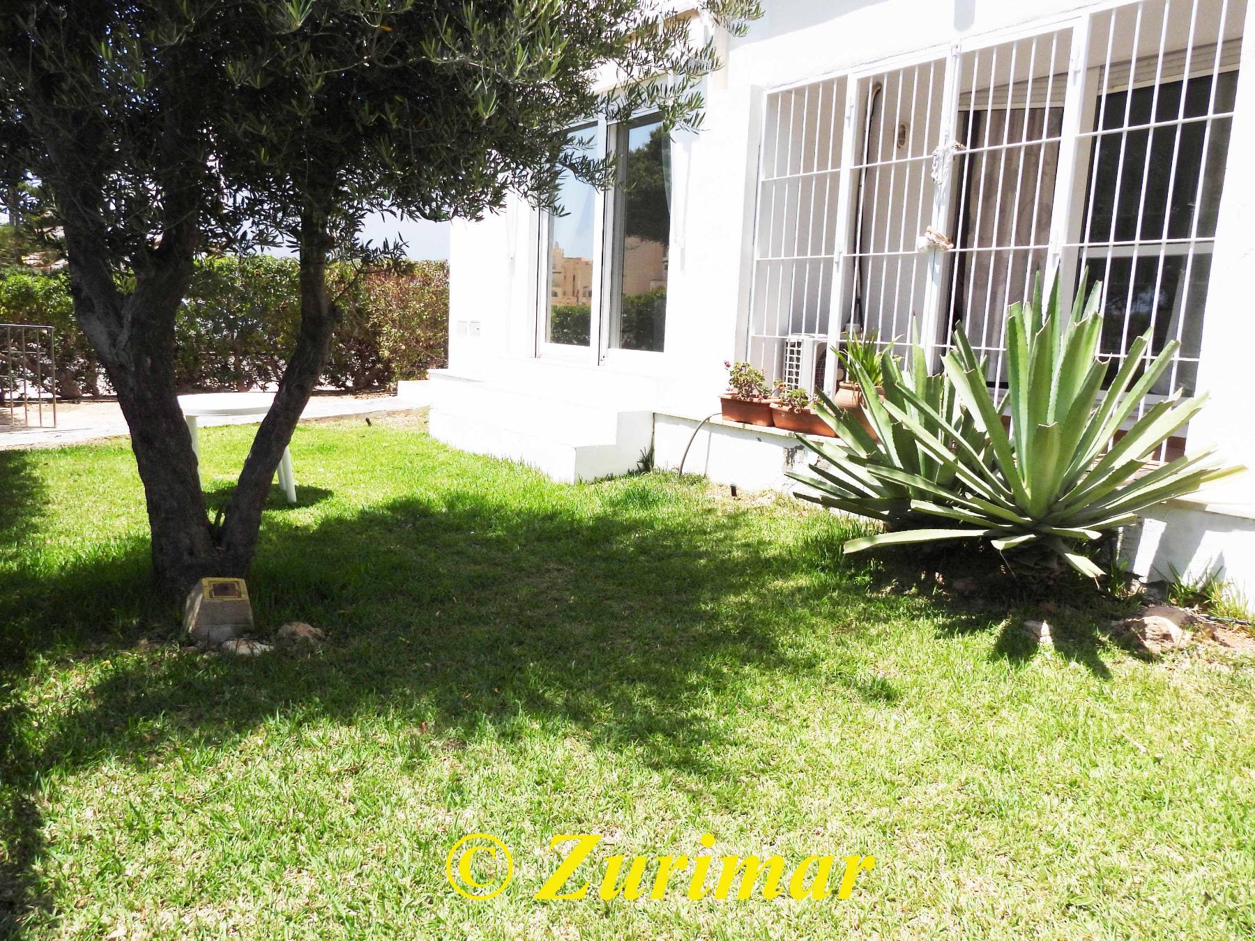 Jardin