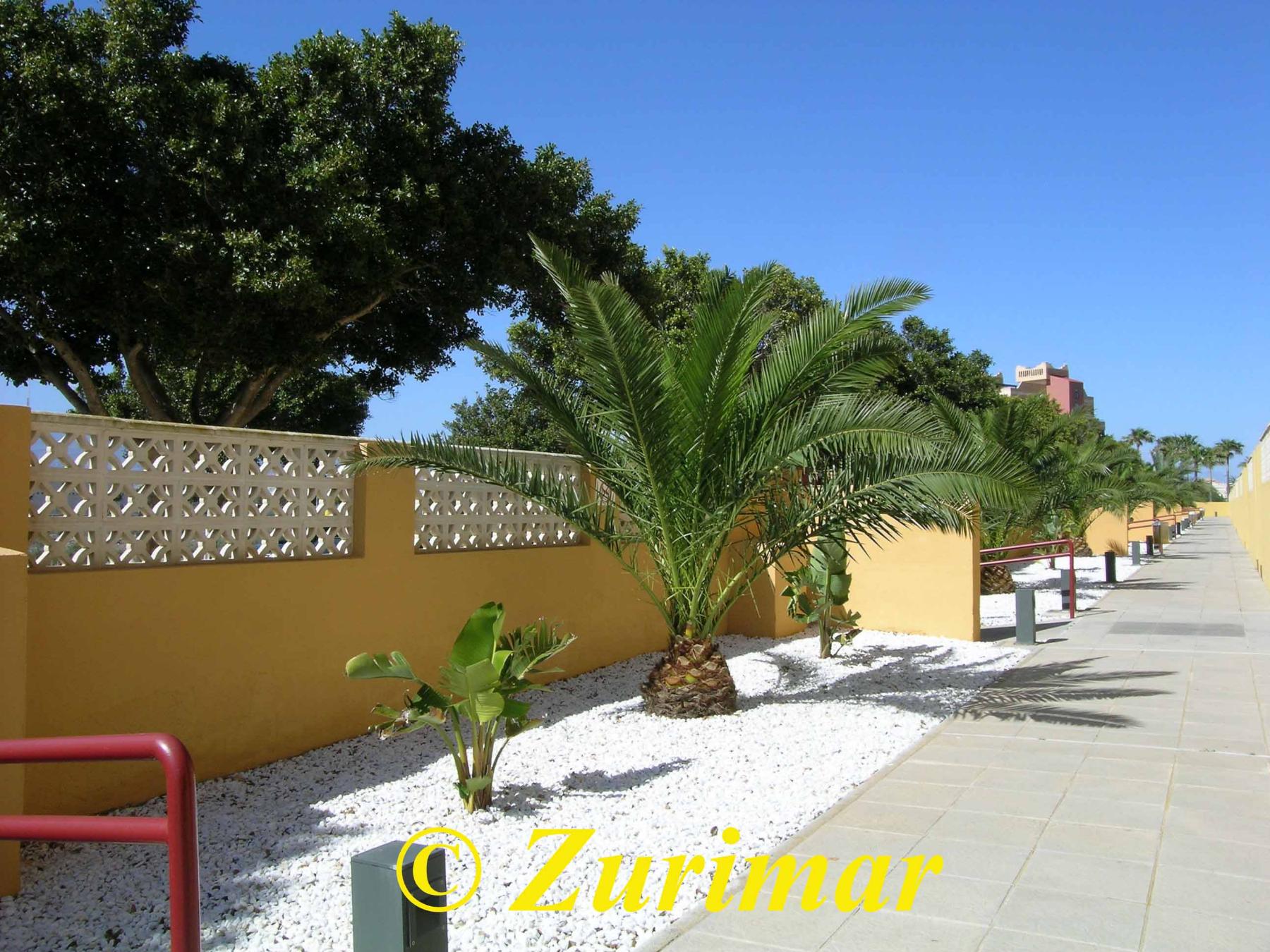Zonas comunes