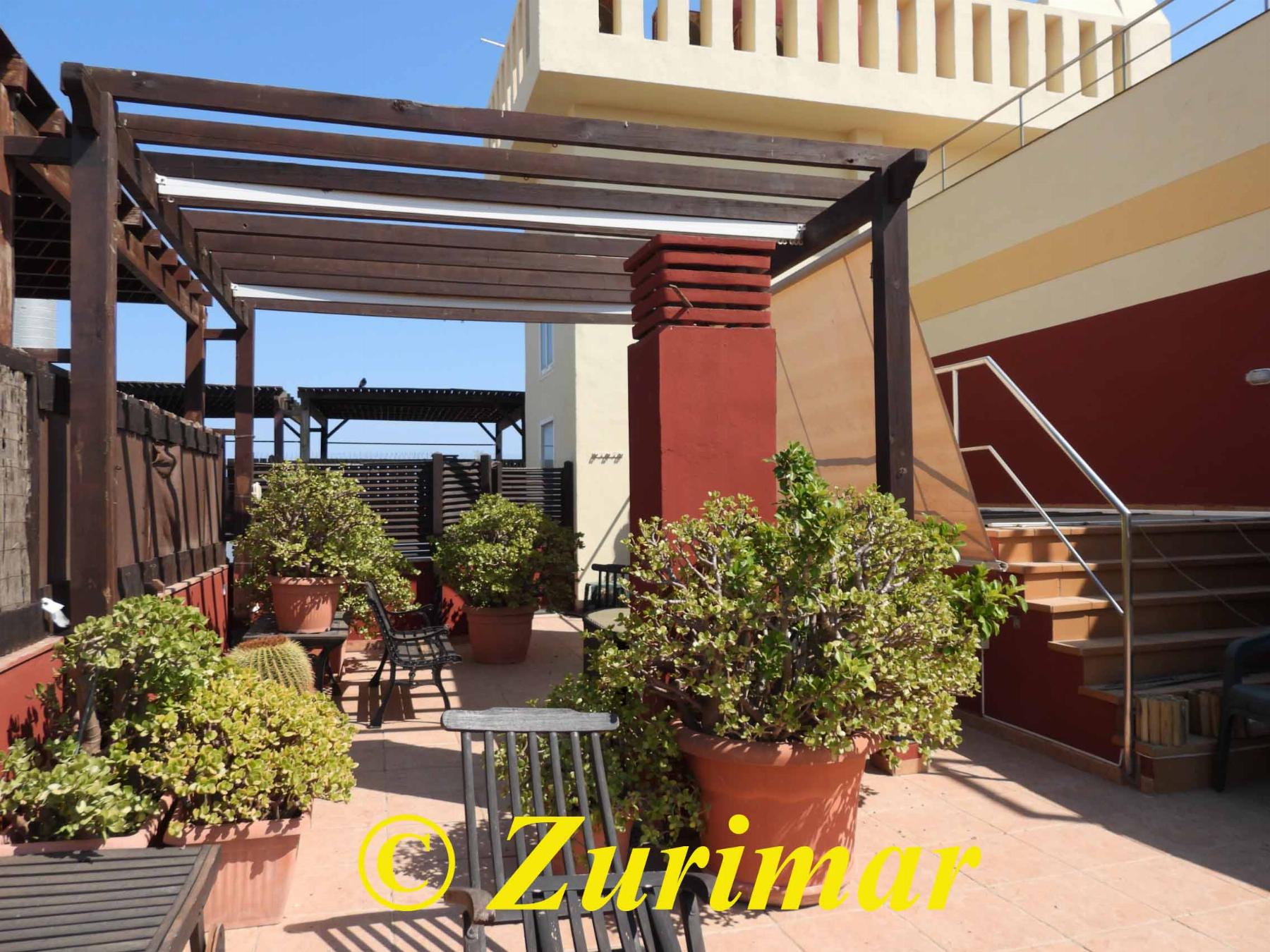 Terraza