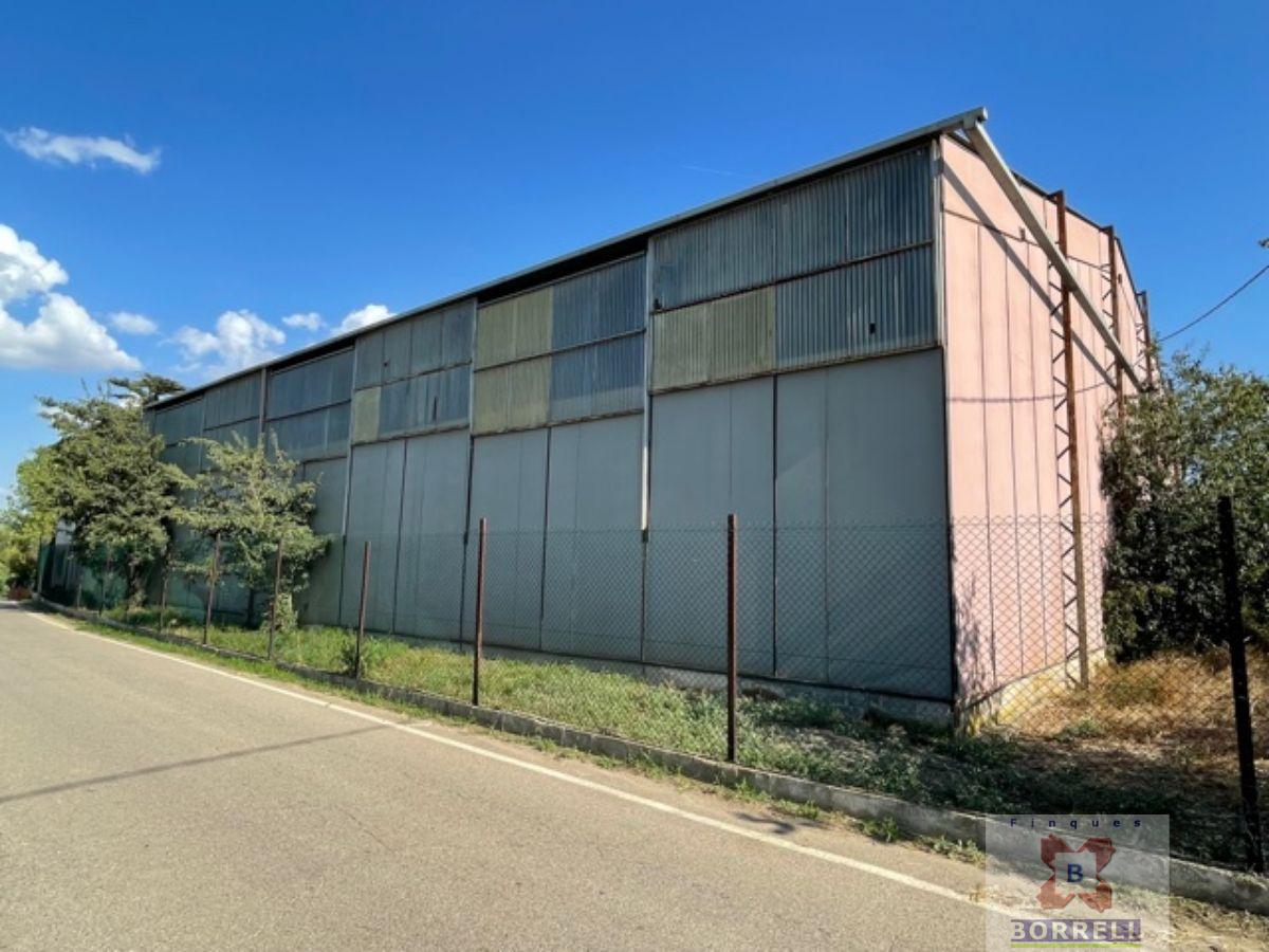 For rent of industrial plant/warehouse in Lleida
