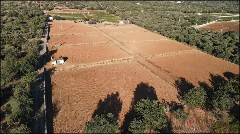 Venda de propriedade rural em La Ràpita