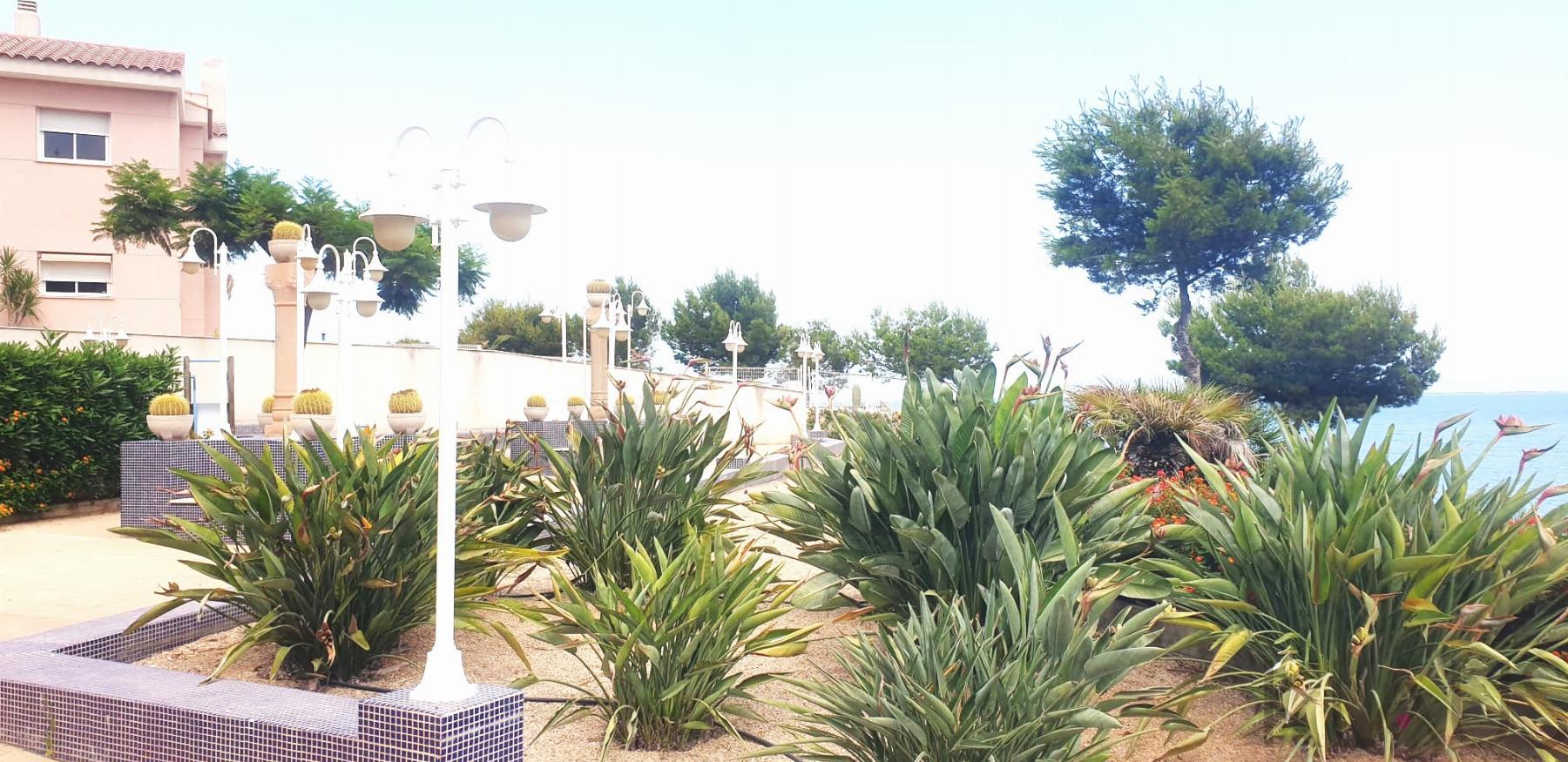 Jardín