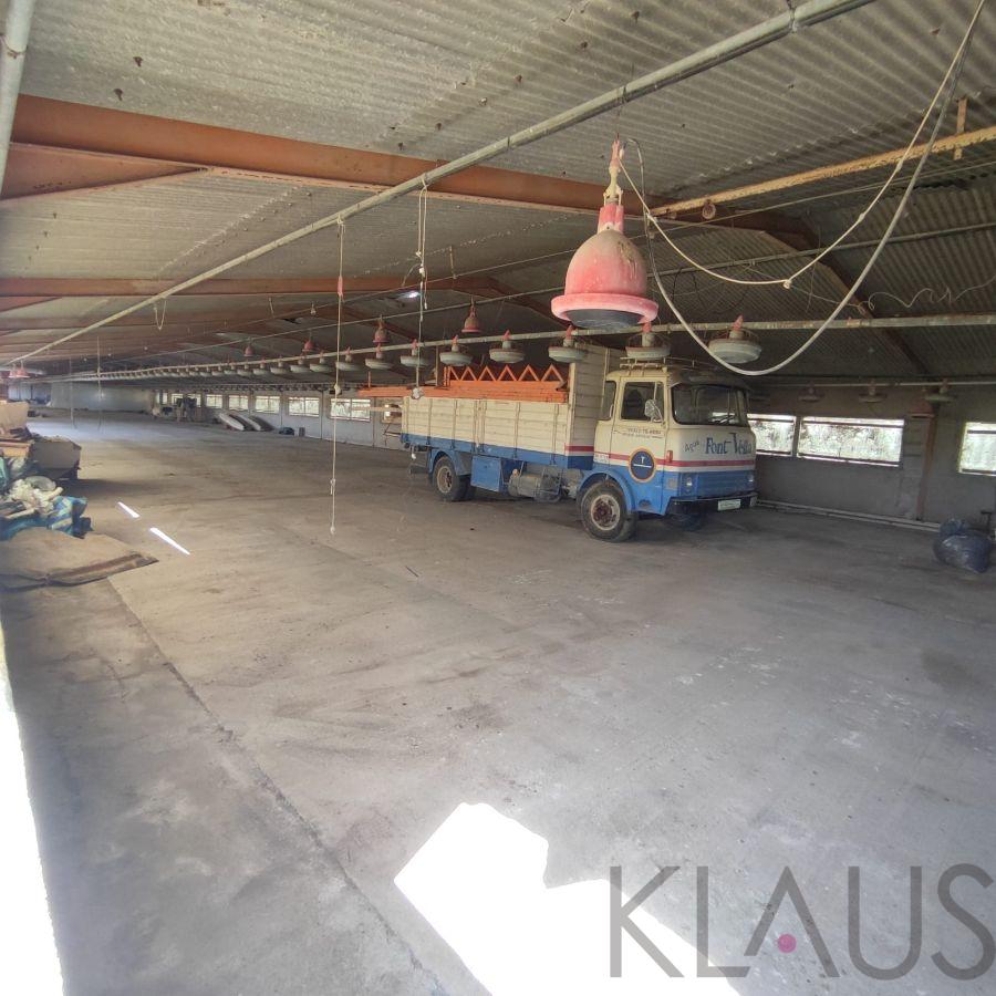 De vânzare din fermă în Sant Jaume d Enveja