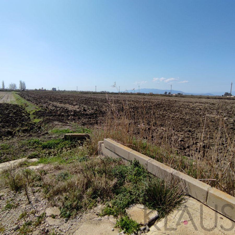De vânzare din fermă în Sant Jaume d Enveja