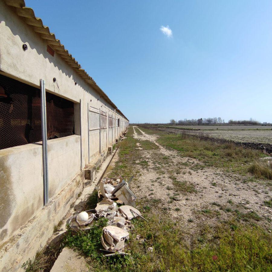 Venta de masía en Sant Jaume d Enveja