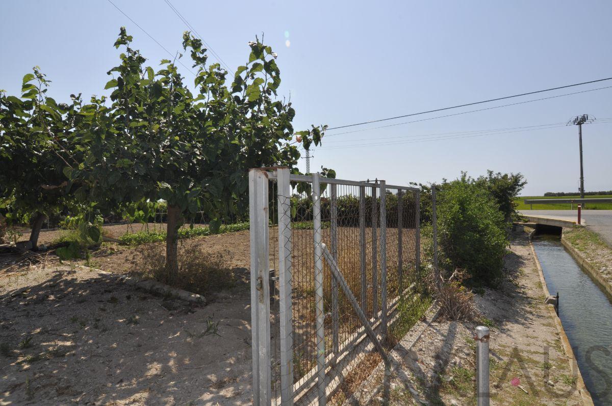 Venda de finca rústica a Sant Carles de la Ràpita