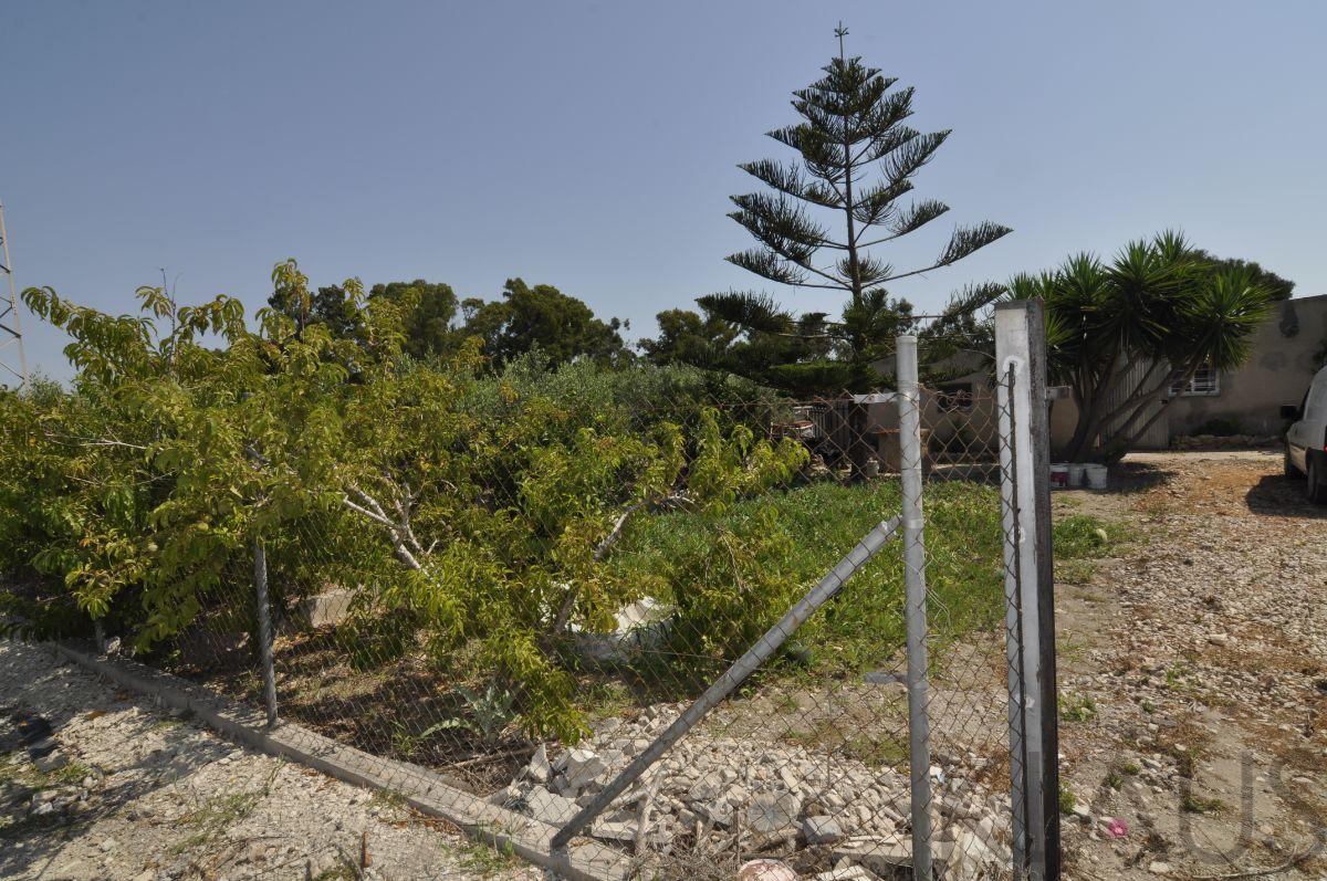 Venta de finca rústica en Sant Carles de la Ràpita