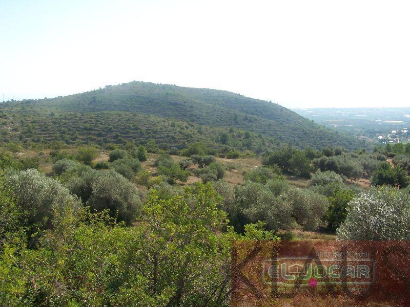 For sale of land in Amposta