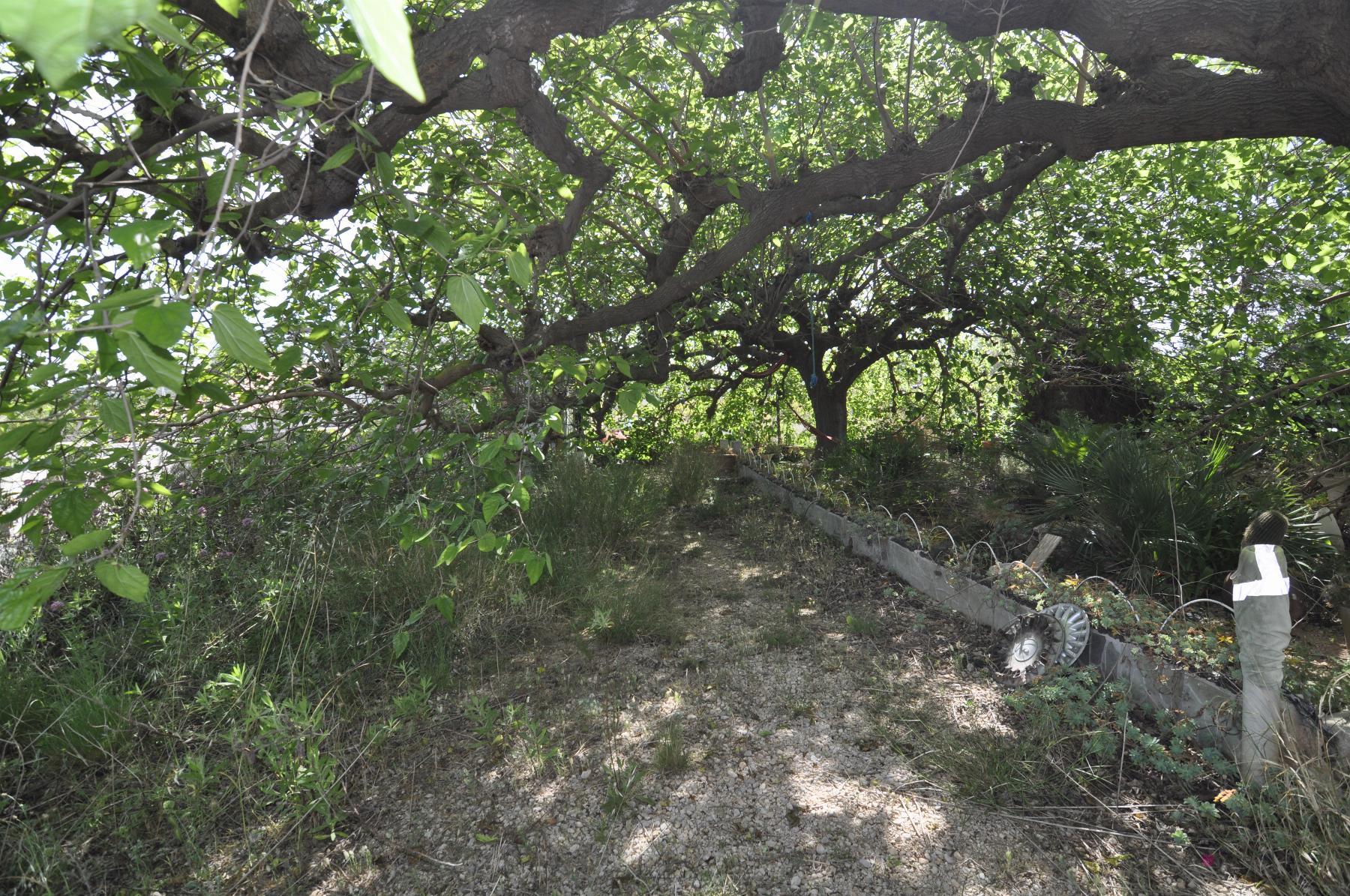 Venta de finca rústica en Vinaròs