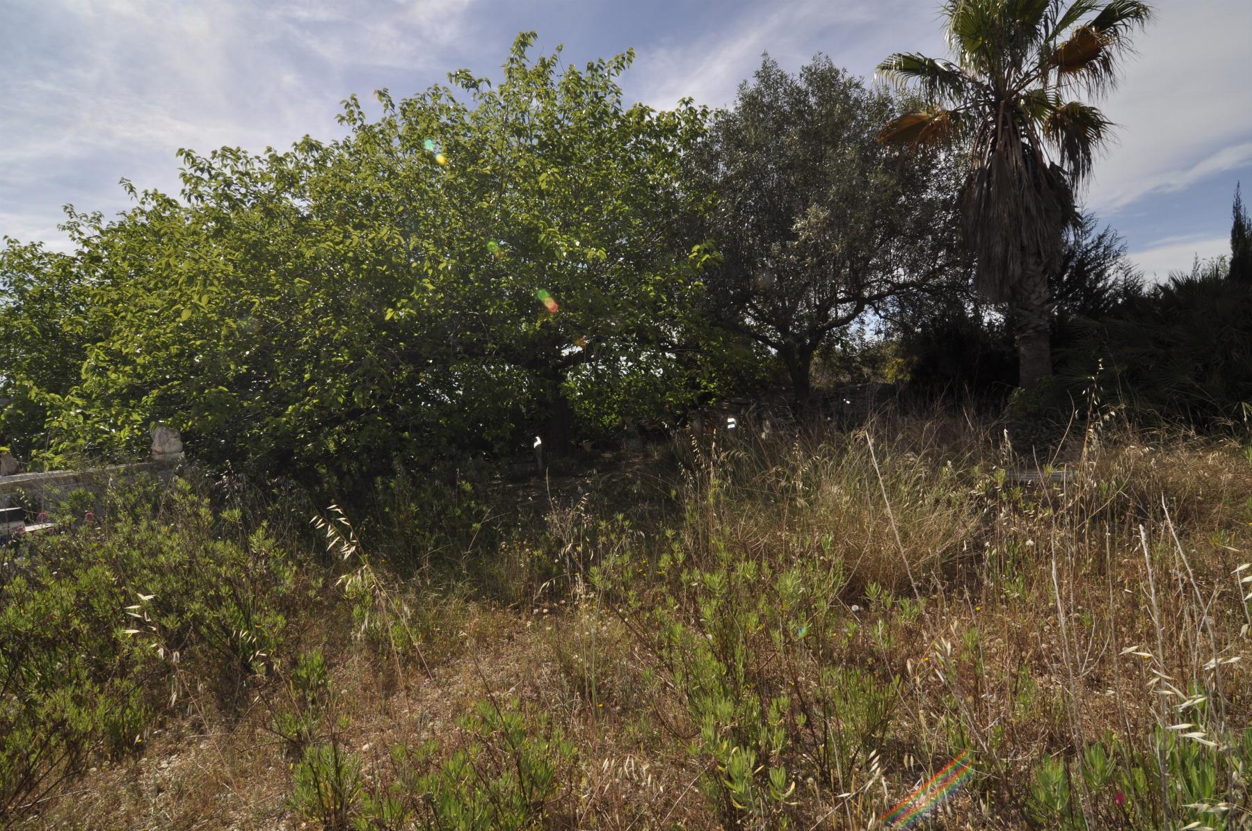 Venta de finca rústica en Vinaròs