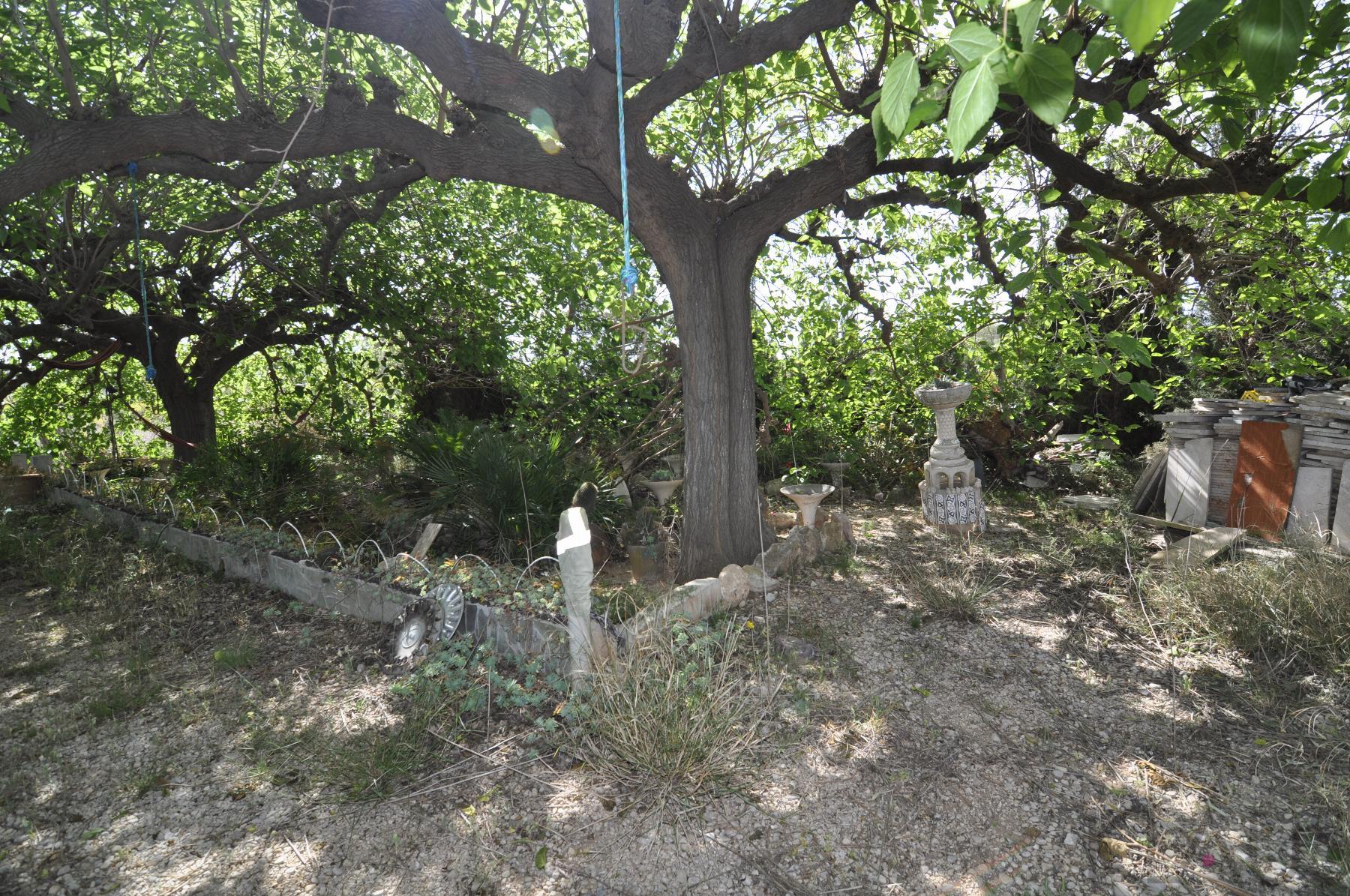 Venta de finca rústica en Vinaròs