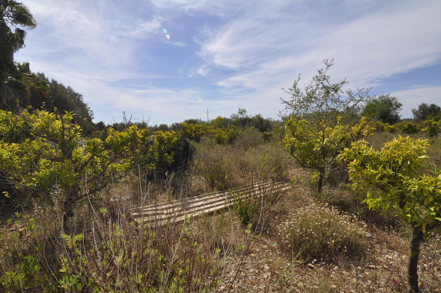 Venta de finca rústica en Vinaròs