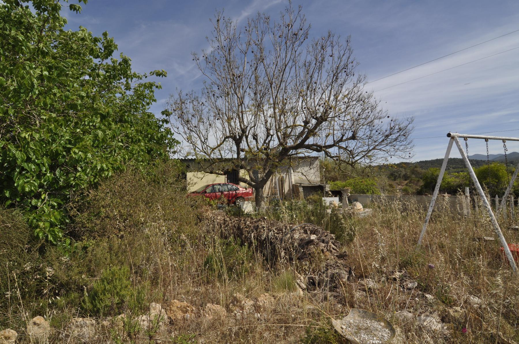 Venta de finca rústica en Vinaròs