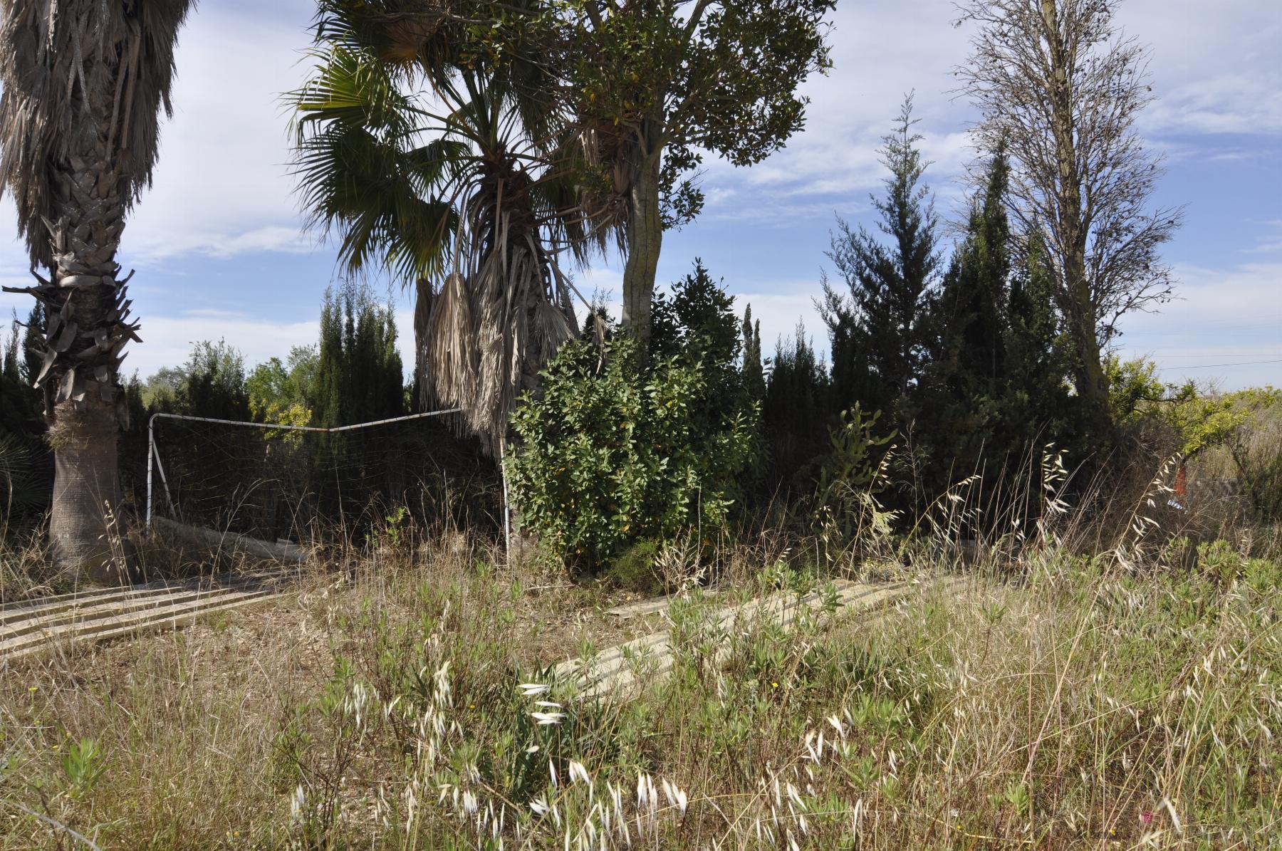 Venta de finca rústica en Vinaròs