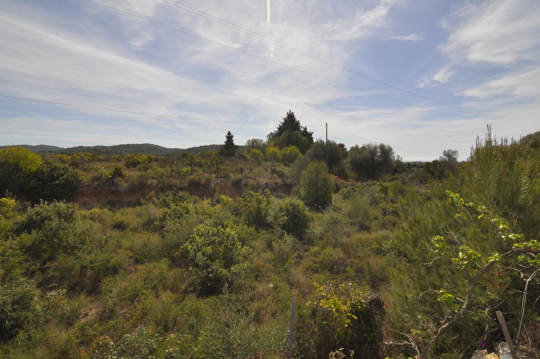 Venta de finca rústica en Vinaròs