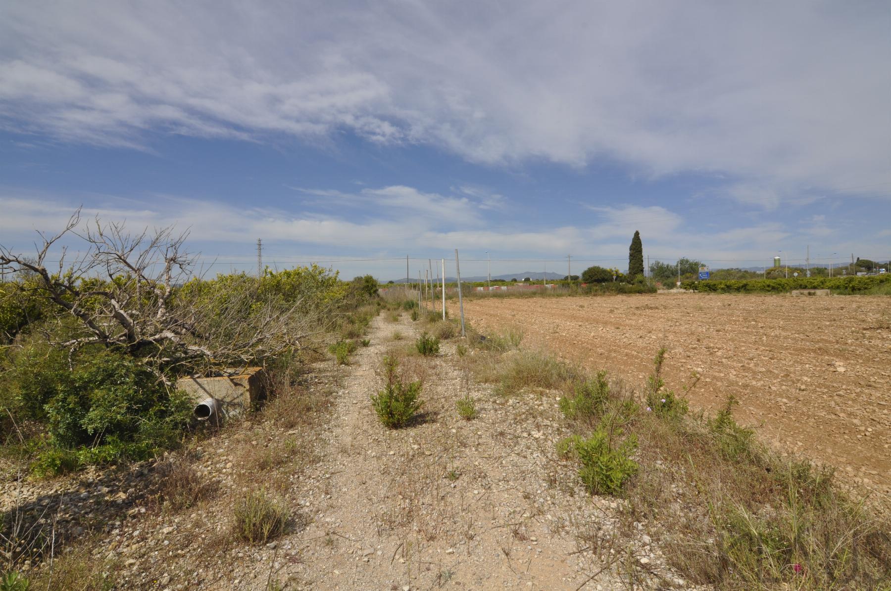 Venta de finca rústica en Vinaròs