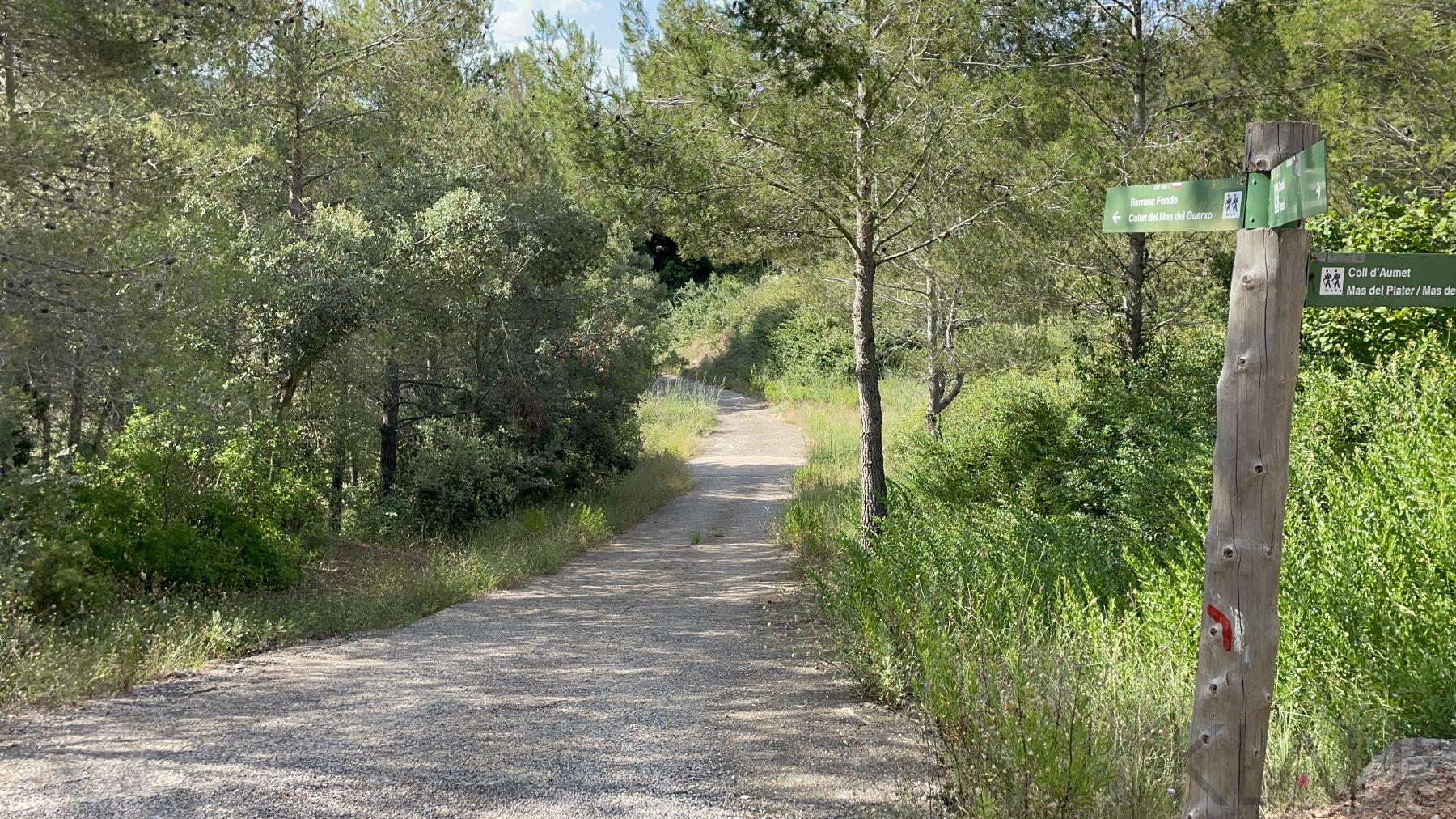 Venta de finca rústica en Aiguamúrcia