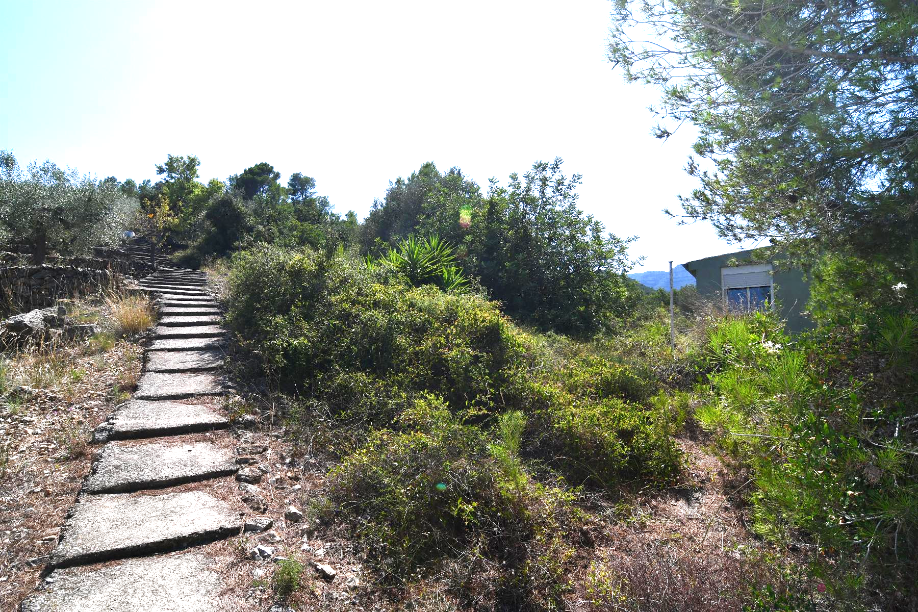 Venta de finca rústica en La Ràpita