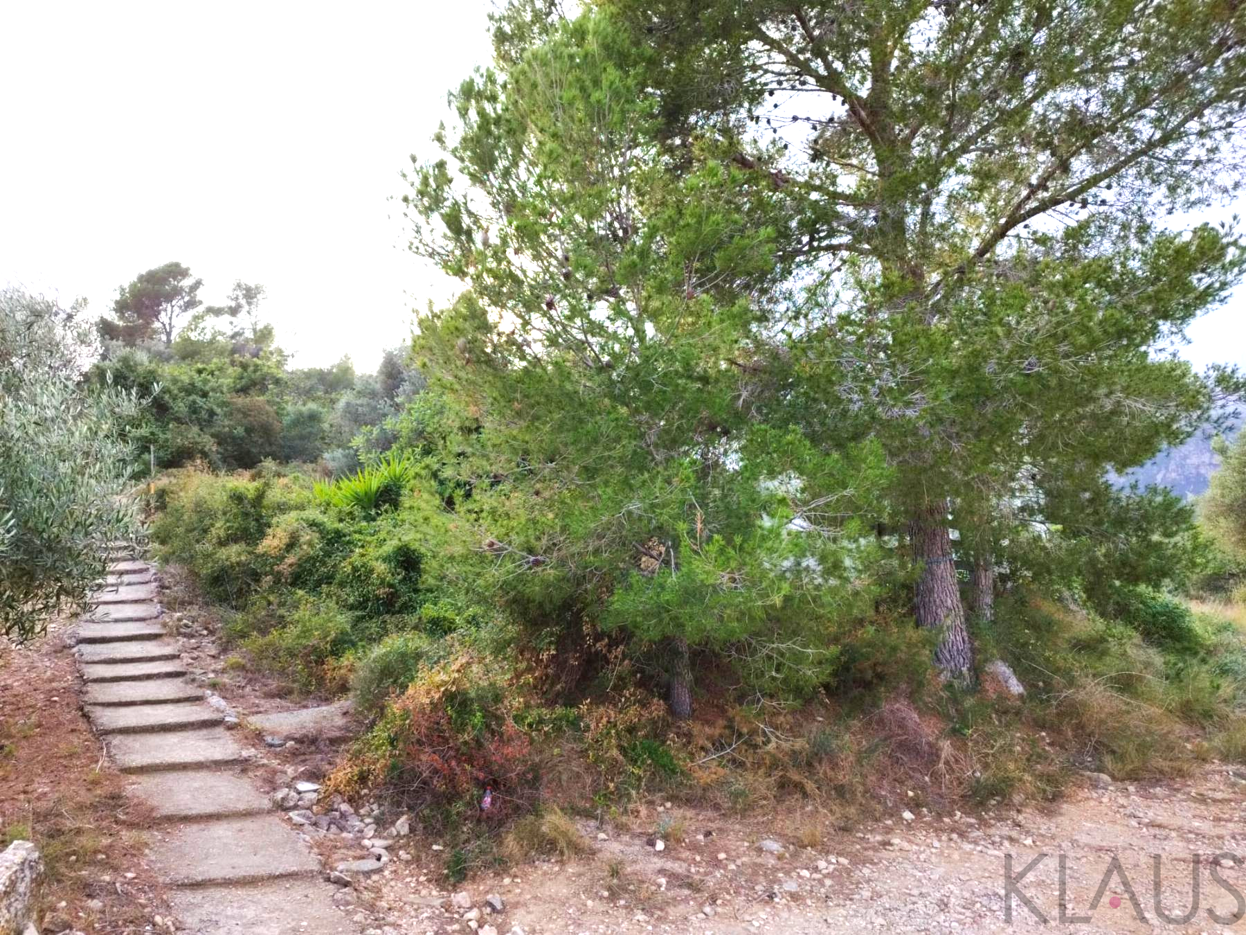 Venta de finca rústica en La Ràpita