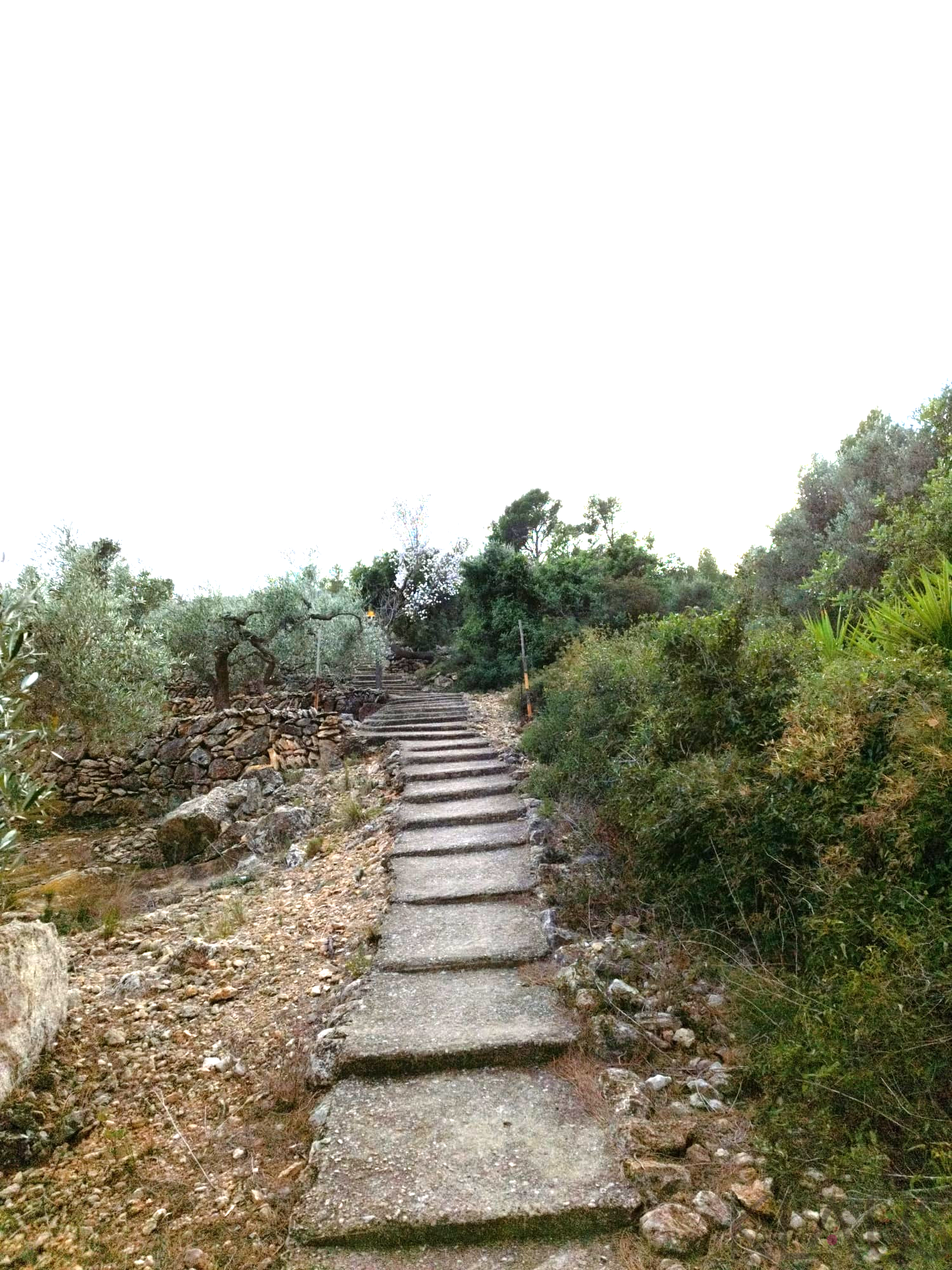 Venta de finca rústica en La Ràpita