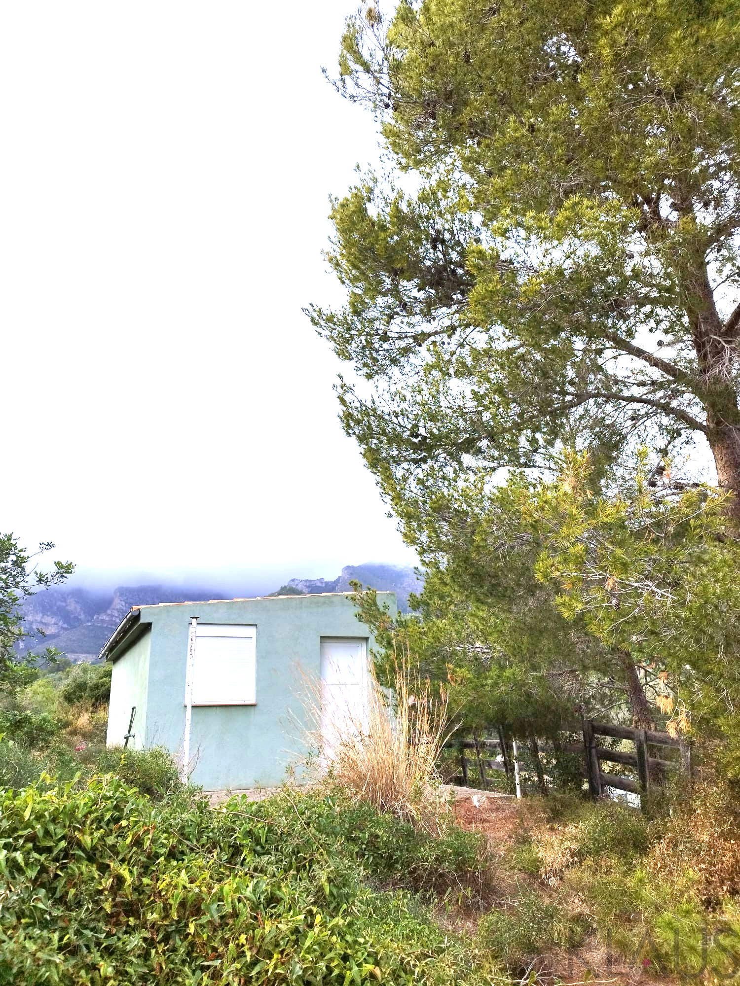 Venta de finca rústica en La Ràpita