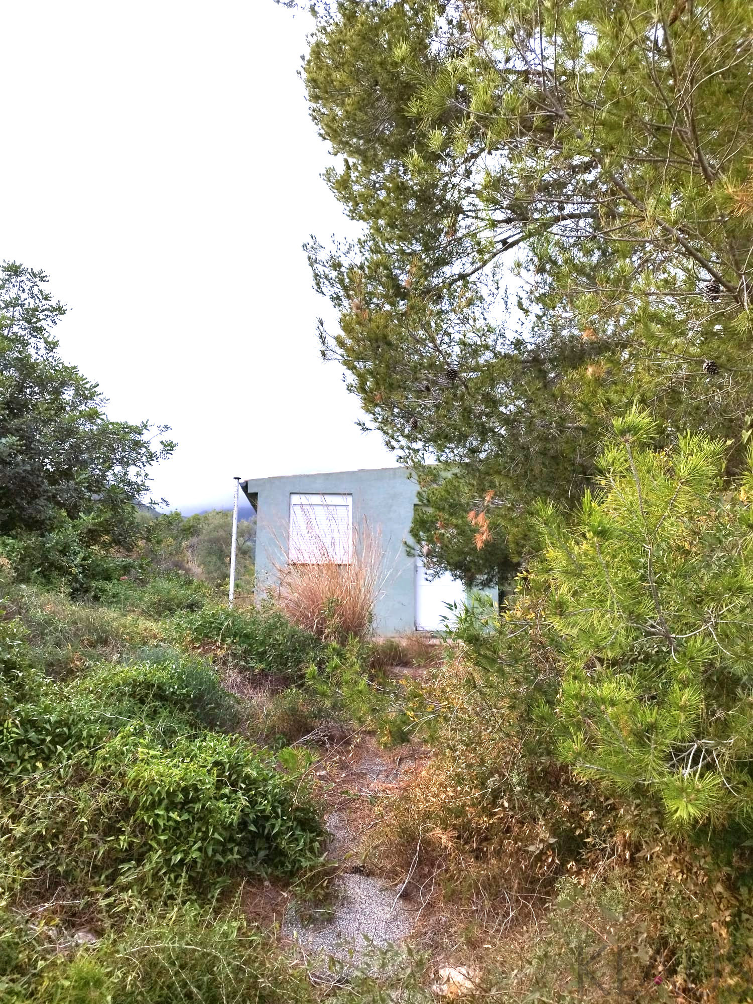 Venta de finca rústica en La Ràpita