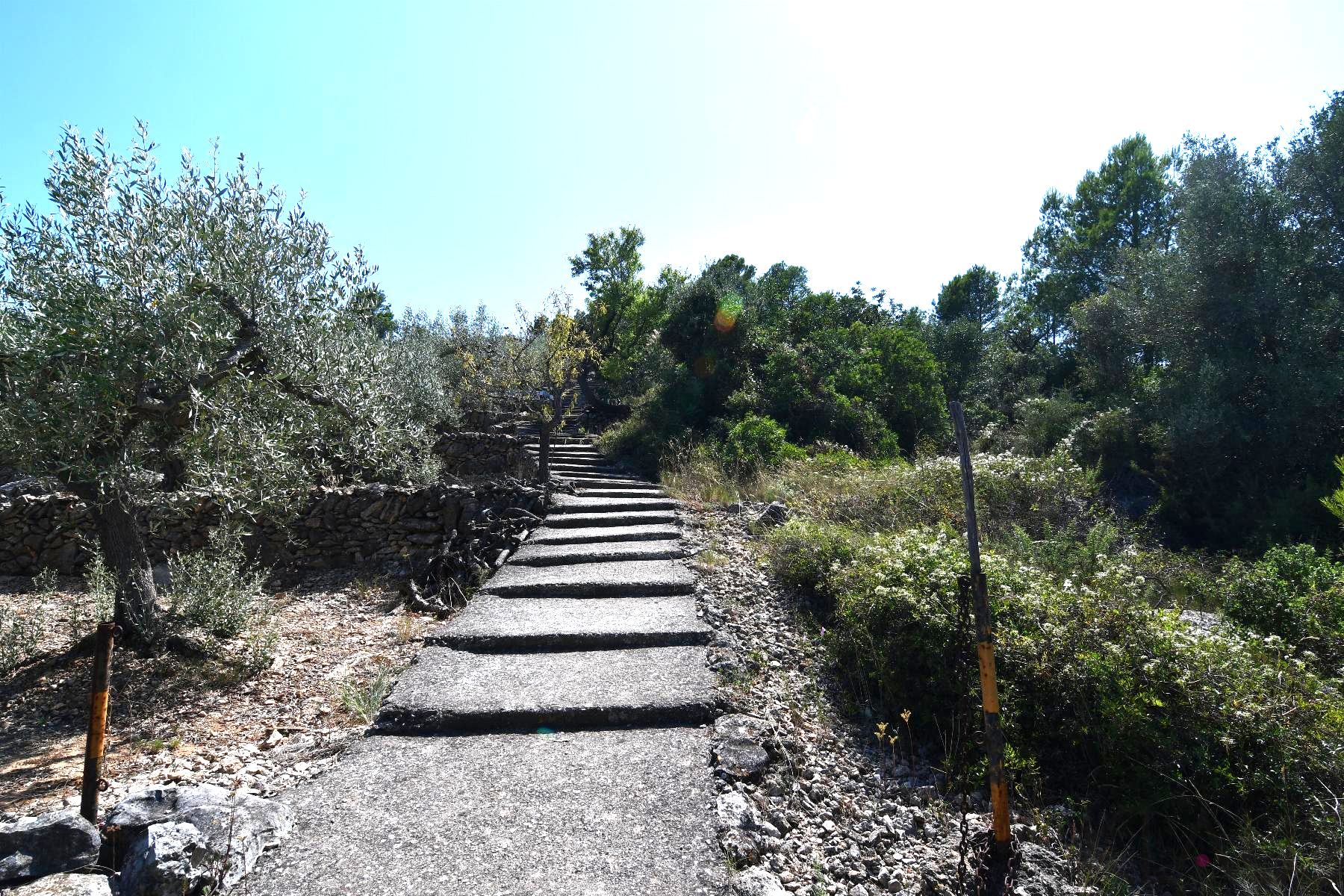 Venta de finca rústica en La Ràpita