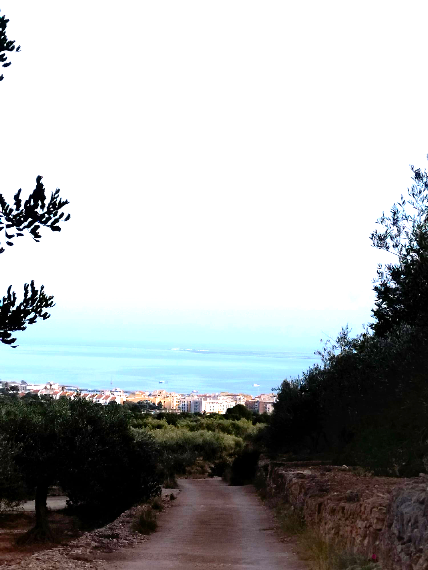 Venta de finca rústica en La Ràpita