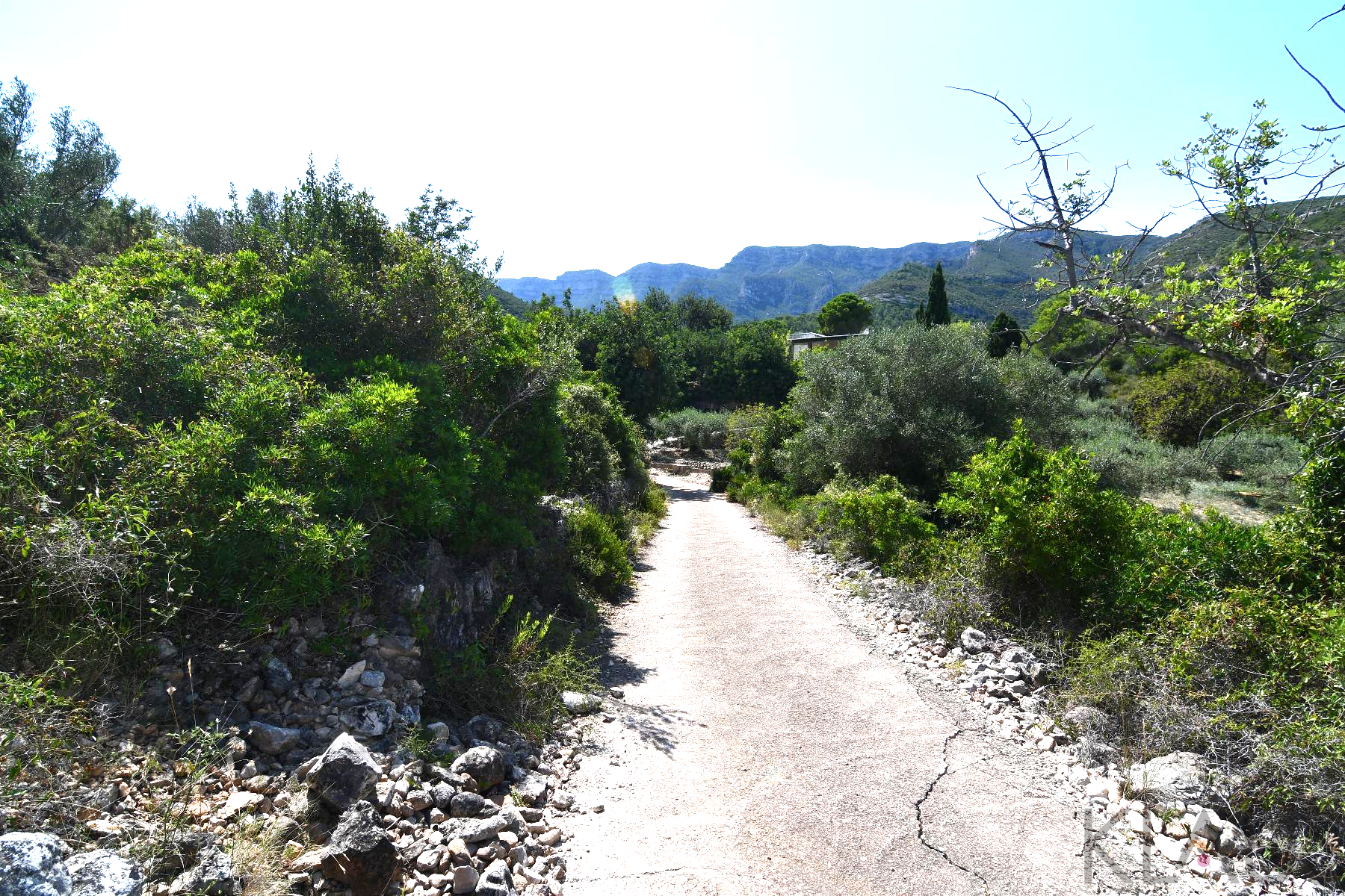 Venta de finca rústica en La Ràpita
