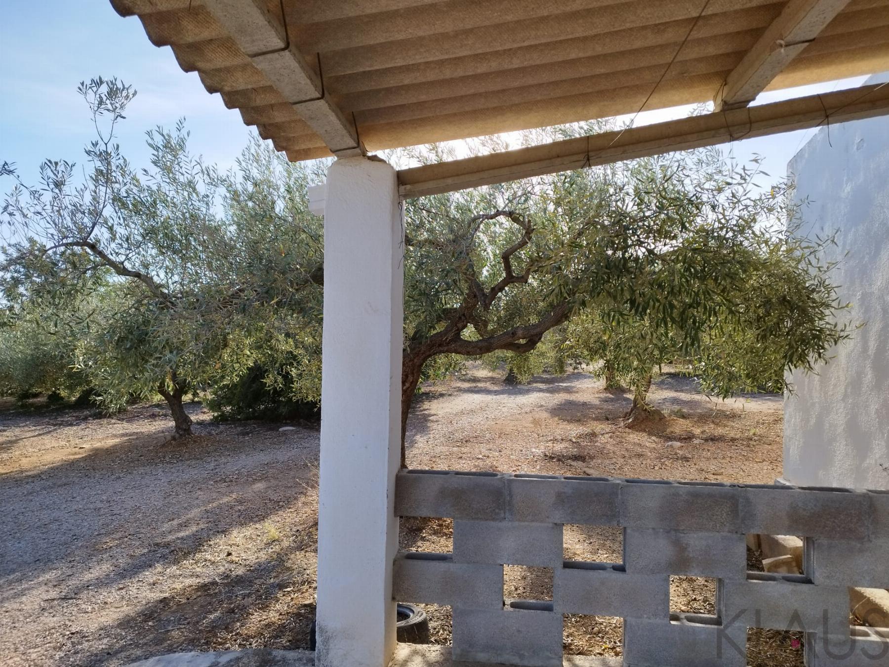 Venta de finca rústica en Sant Carles de la Ràpita