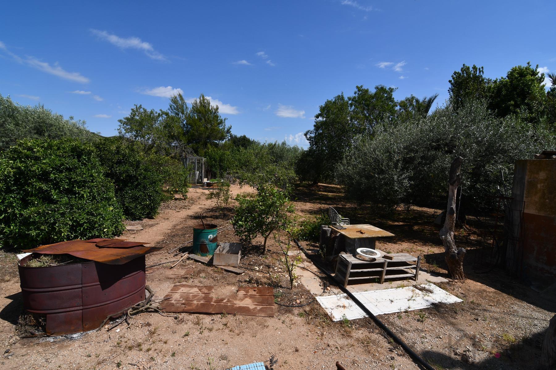 Vendita di casa in Amposta