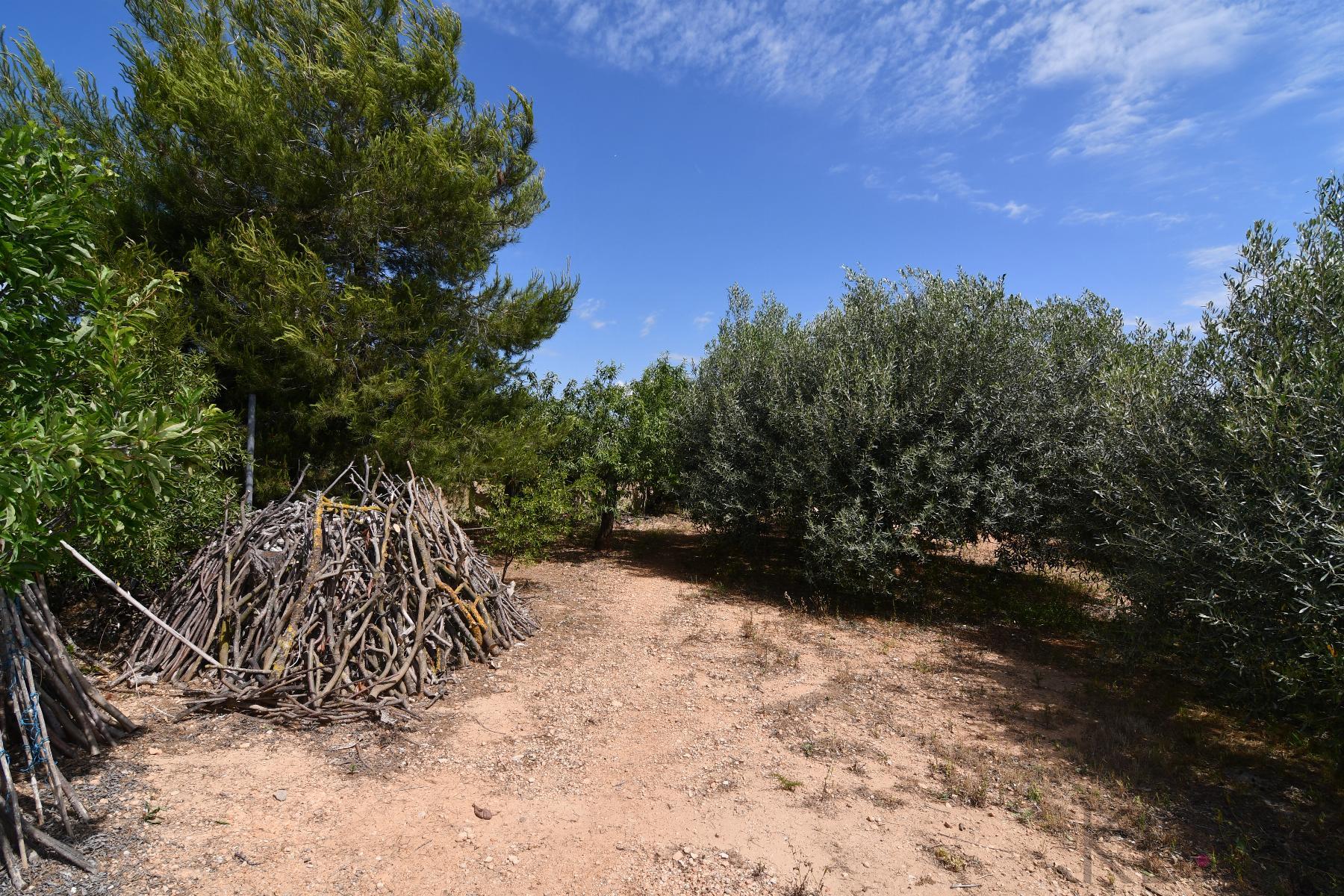 Vendita di casa in Amposta
