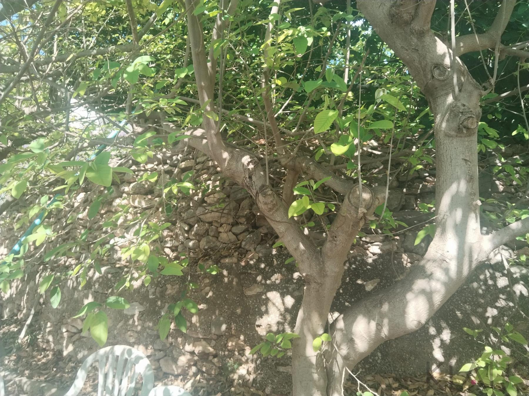 Venta de terreno en La Ràpita
