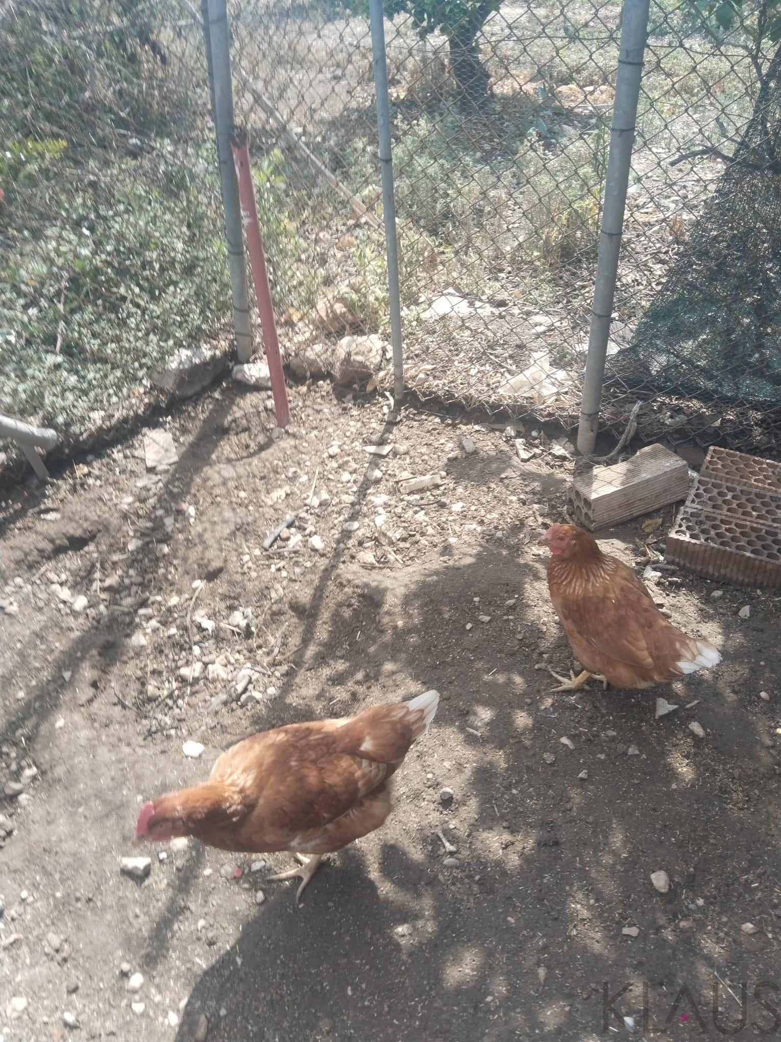 Venta de terreno en La Ràpita