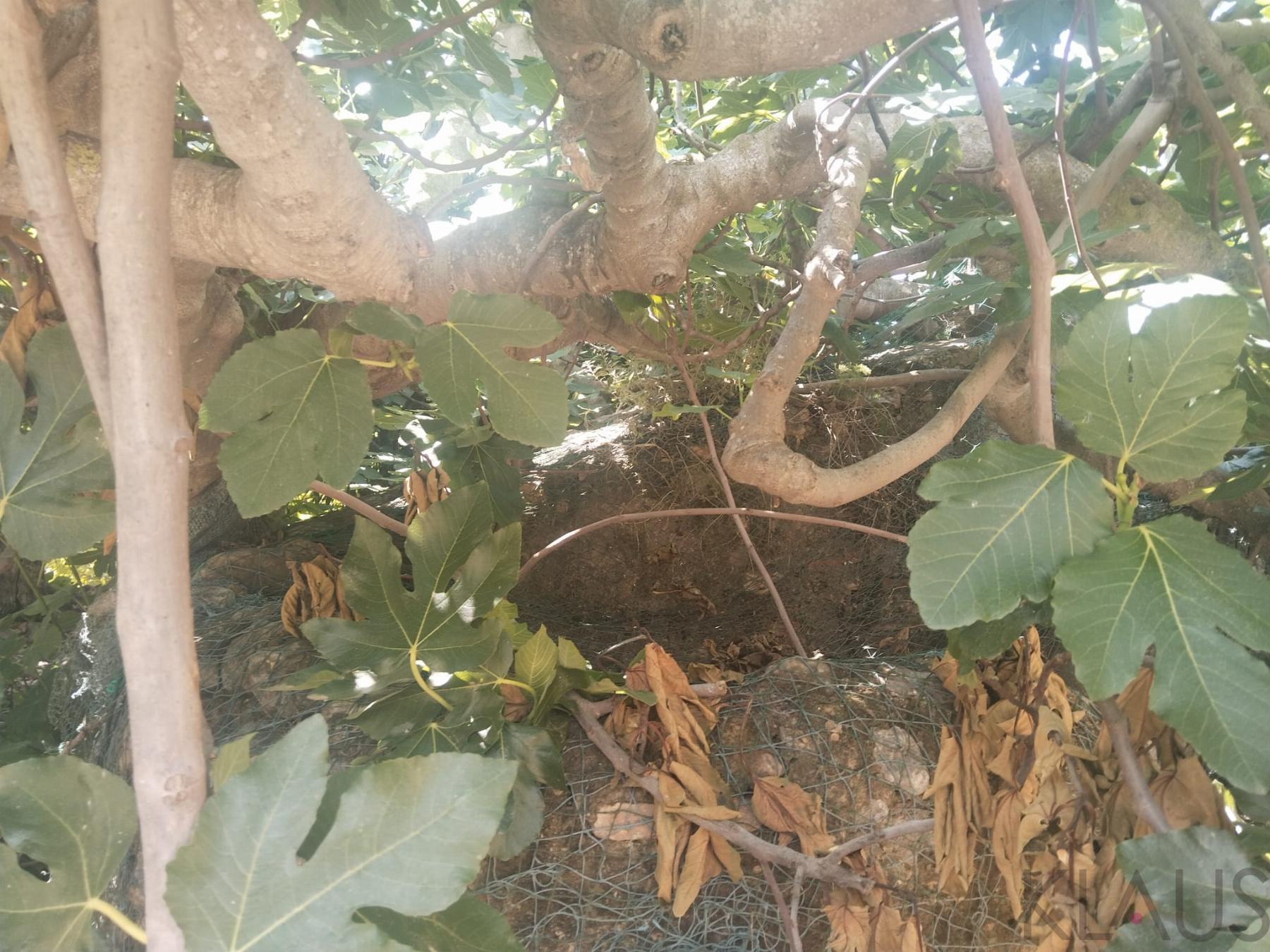 Venta de terreno en La Ràpita