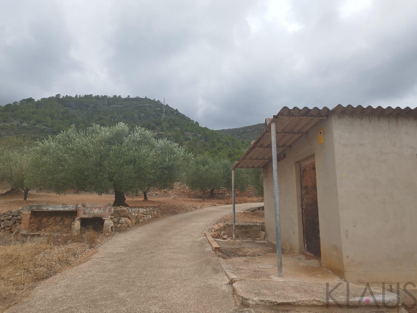 Venta de finca rústica en La Ràpita