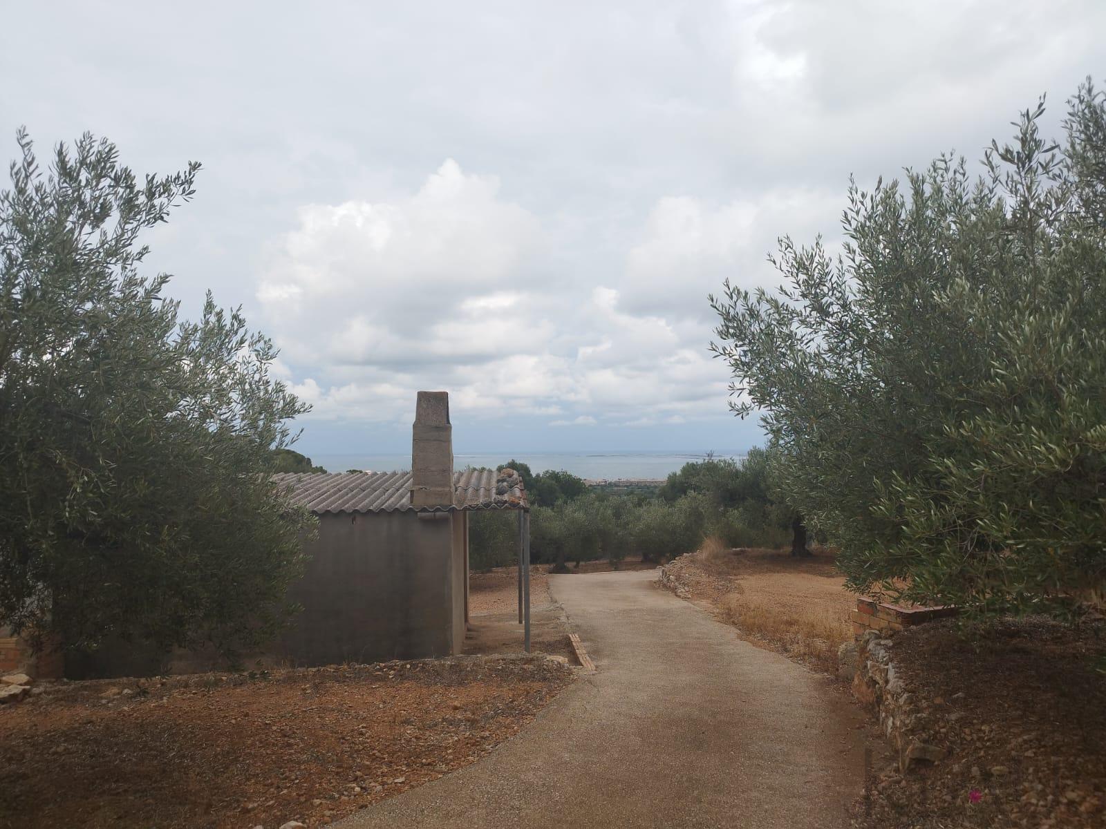 Venta de finca rústica en La Ràpita