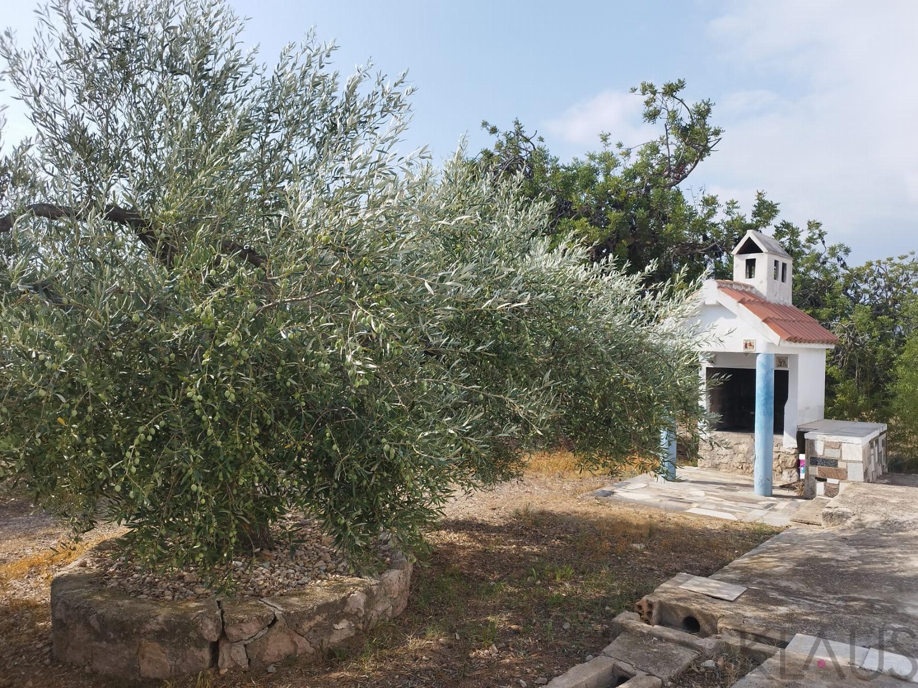 Salg av rural house i La Ràpita